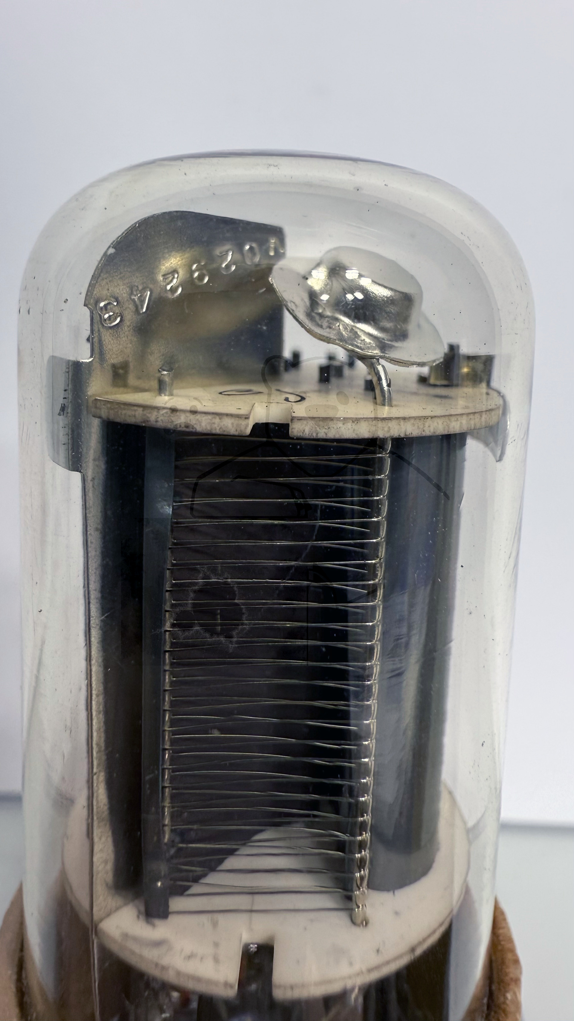 Röhre 931A #6607 Bild 3