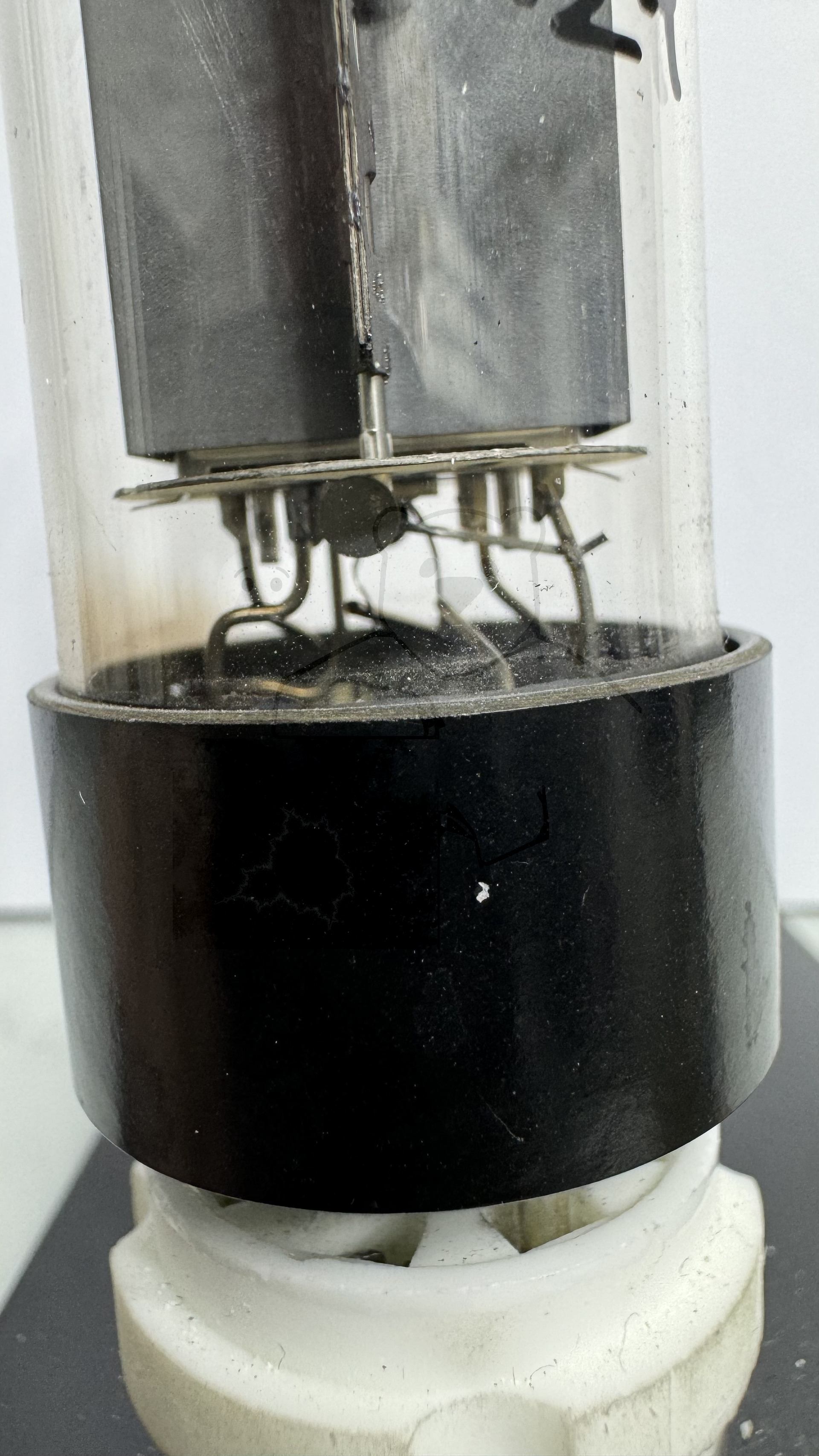 Röhre E236L #3129 Bild 5