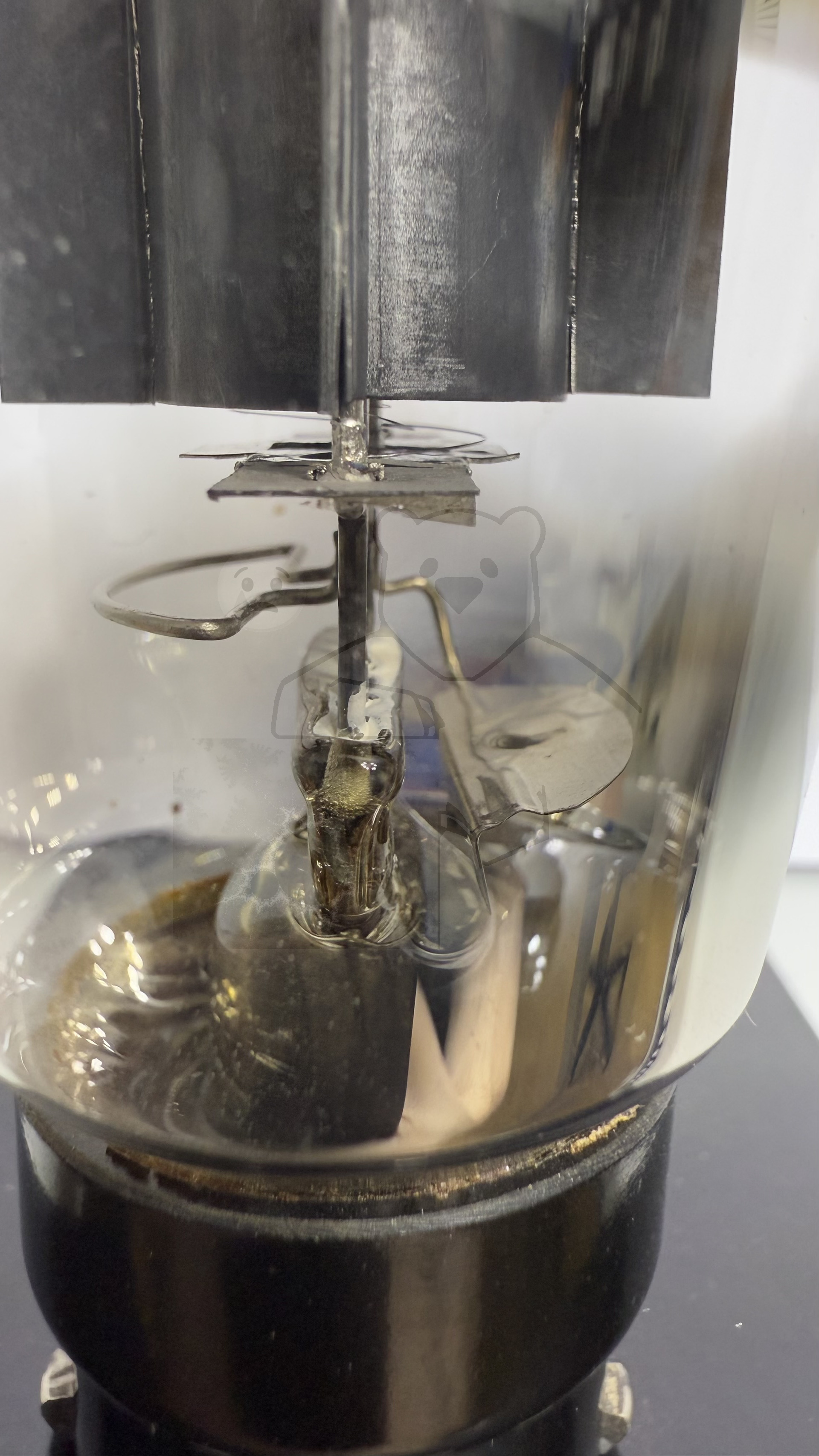 Röhre EL1 #6479 Bild 5