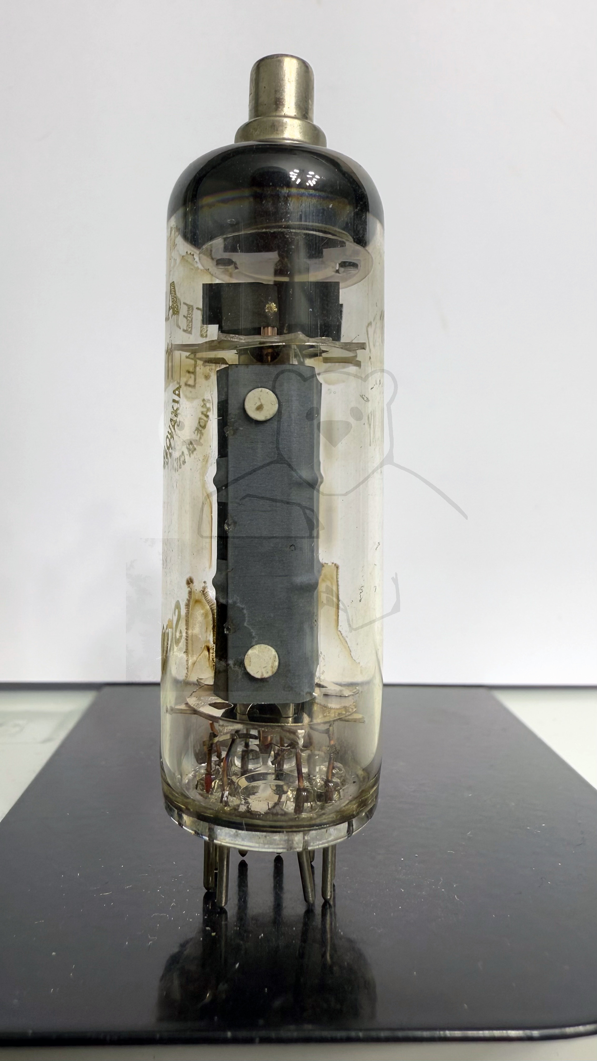 Röhre EL81 #4919 Bild 2