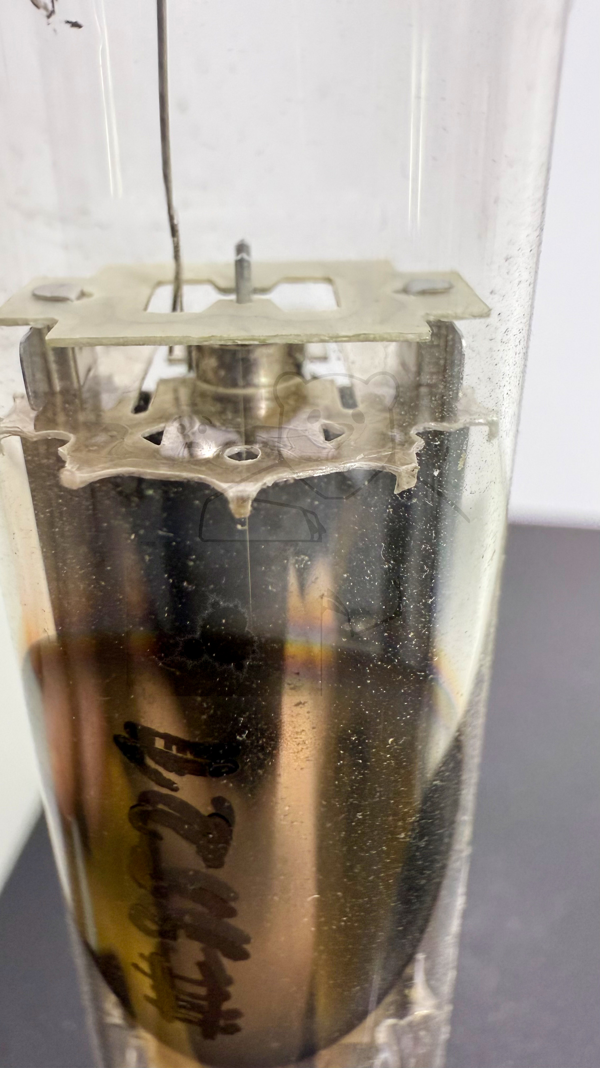 Röhre EY88 #3521 Experimentel Valve Bild 9