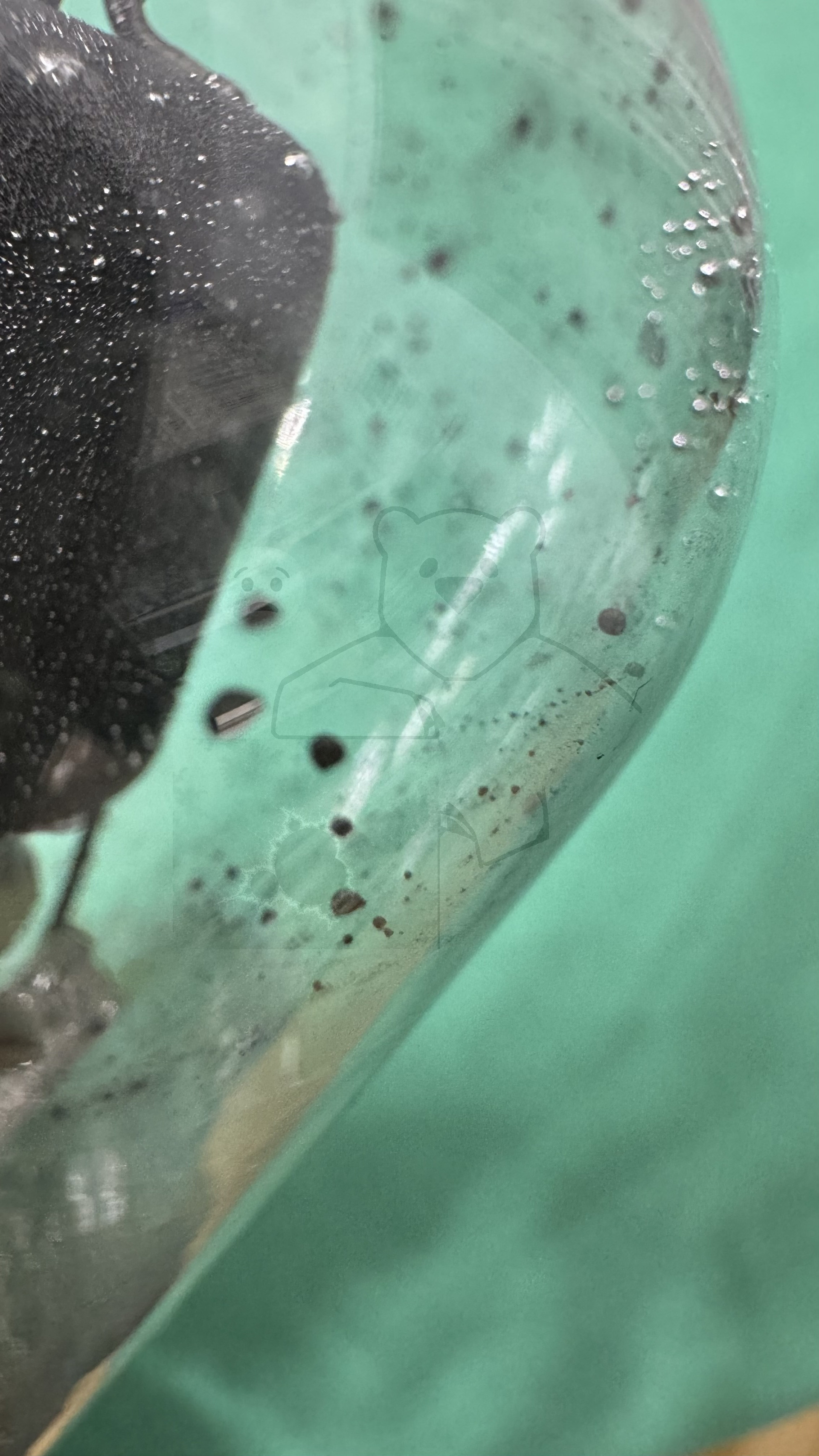 Röhre G10-1i #3256 Bild 28