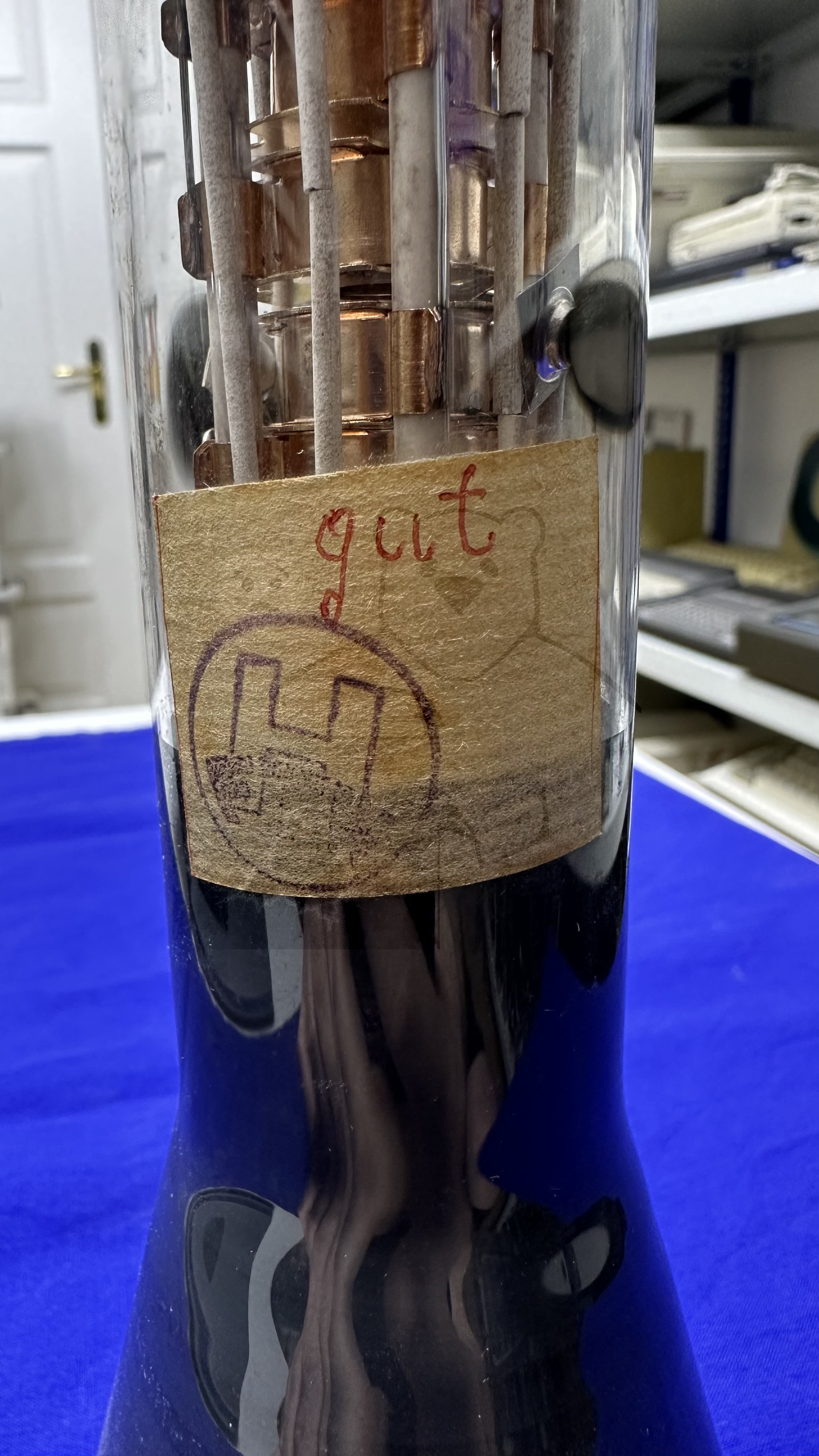 Röhre HRP1-100-1,5 #4718 Bild 15