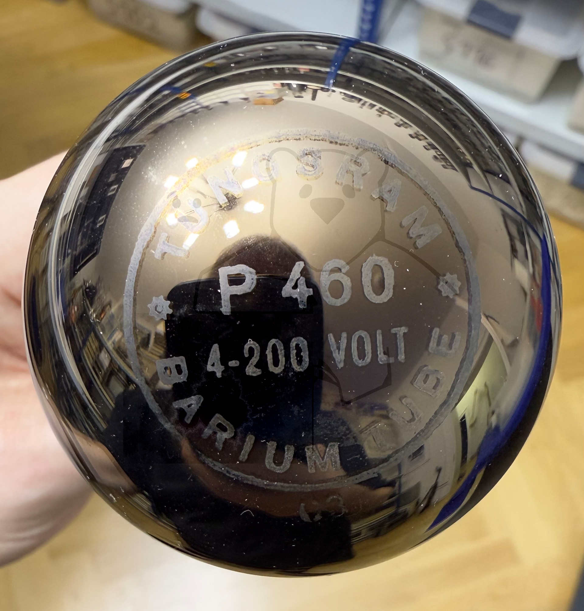 Röhre P460 #6931 Bild 14