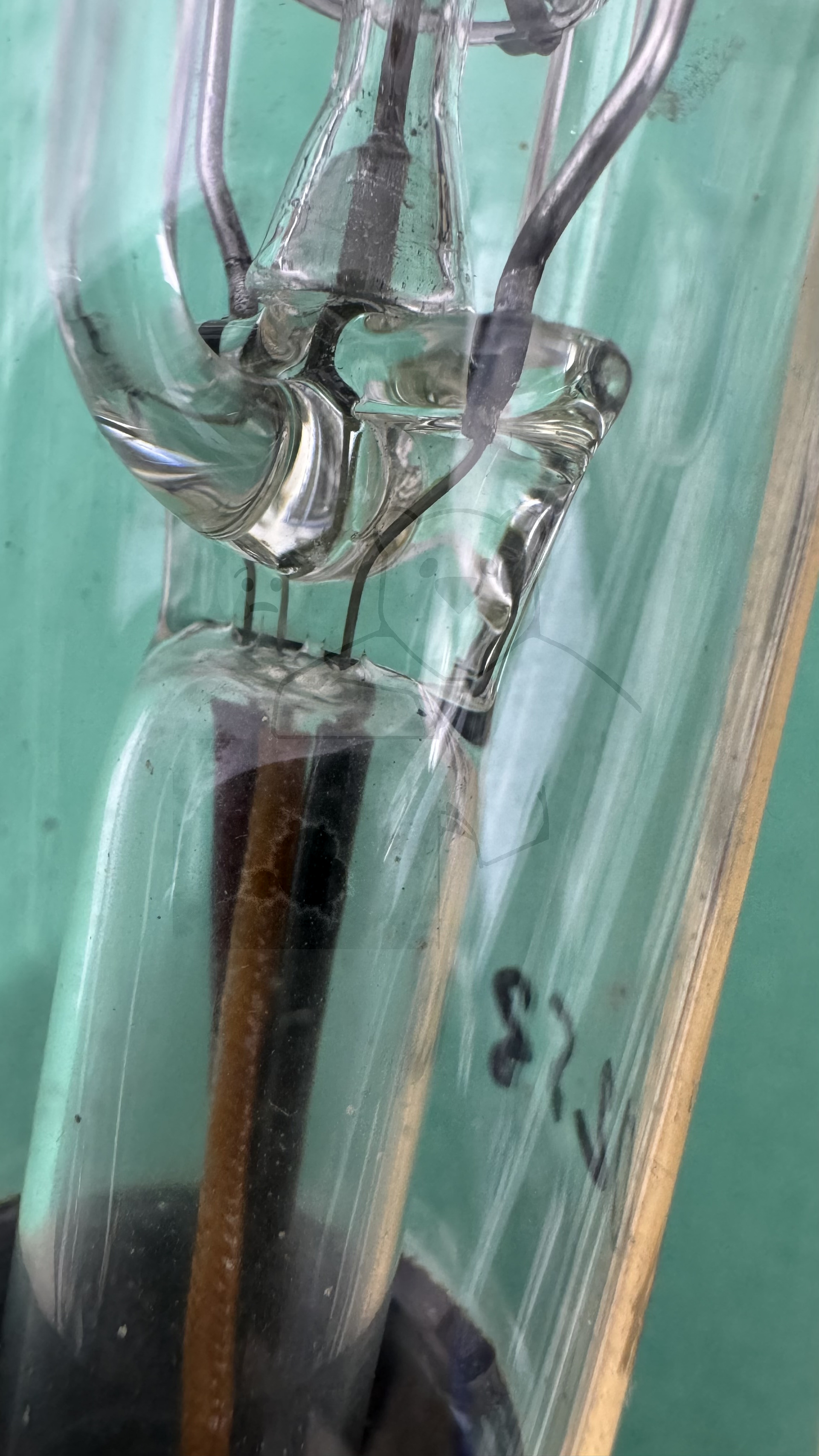 Röhre PL12 #0253 Bild 10