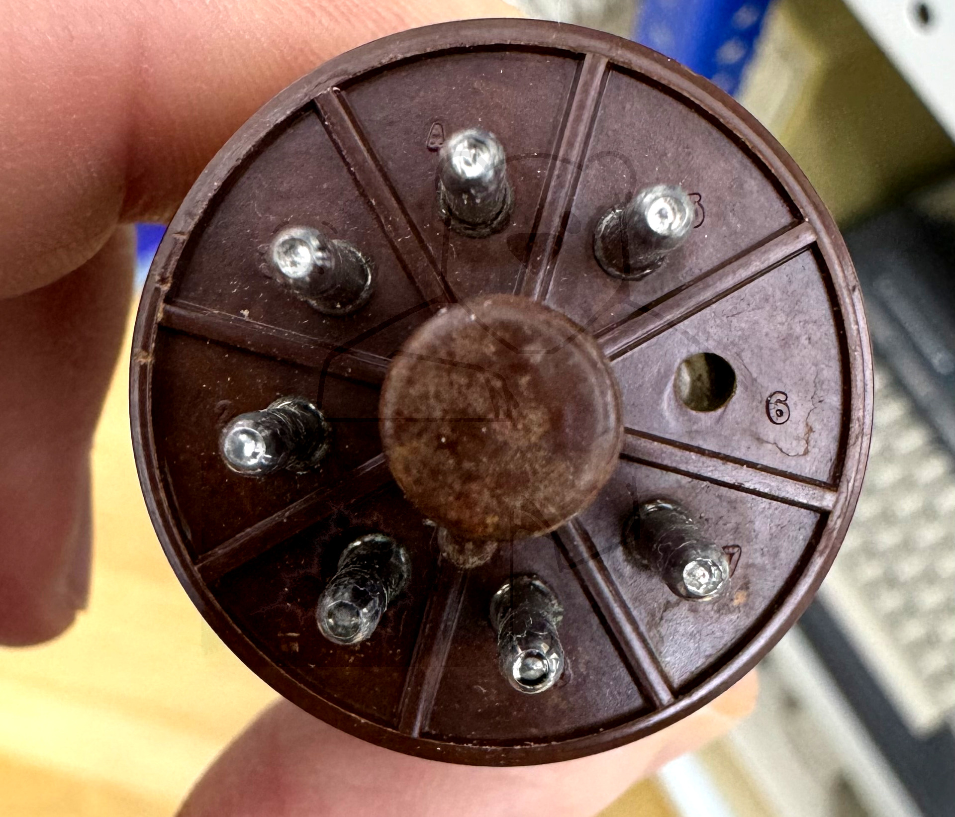 Röhre PL36 #3139 Bild 9