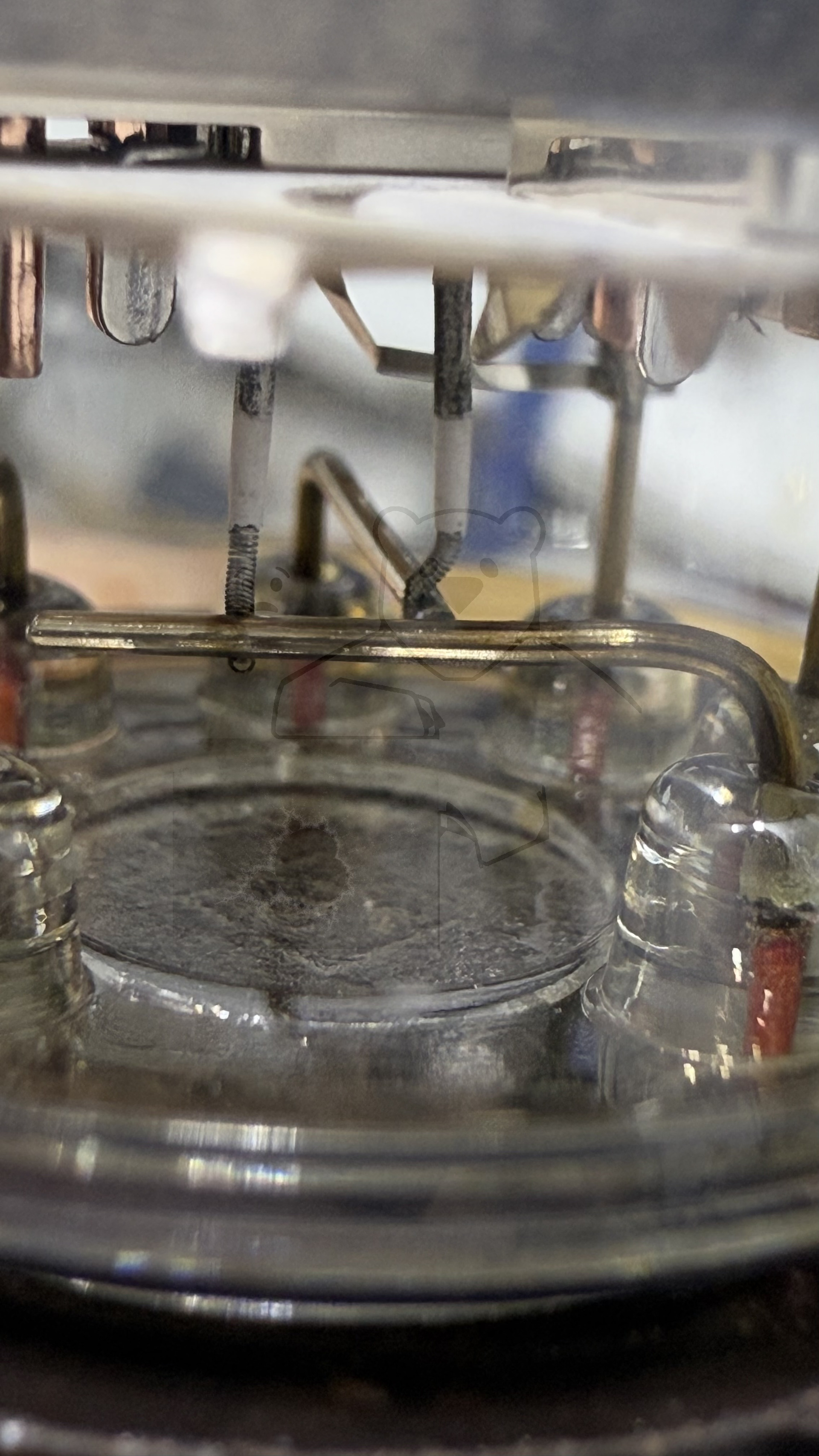 Röhre PL36 #3145 Bild 12