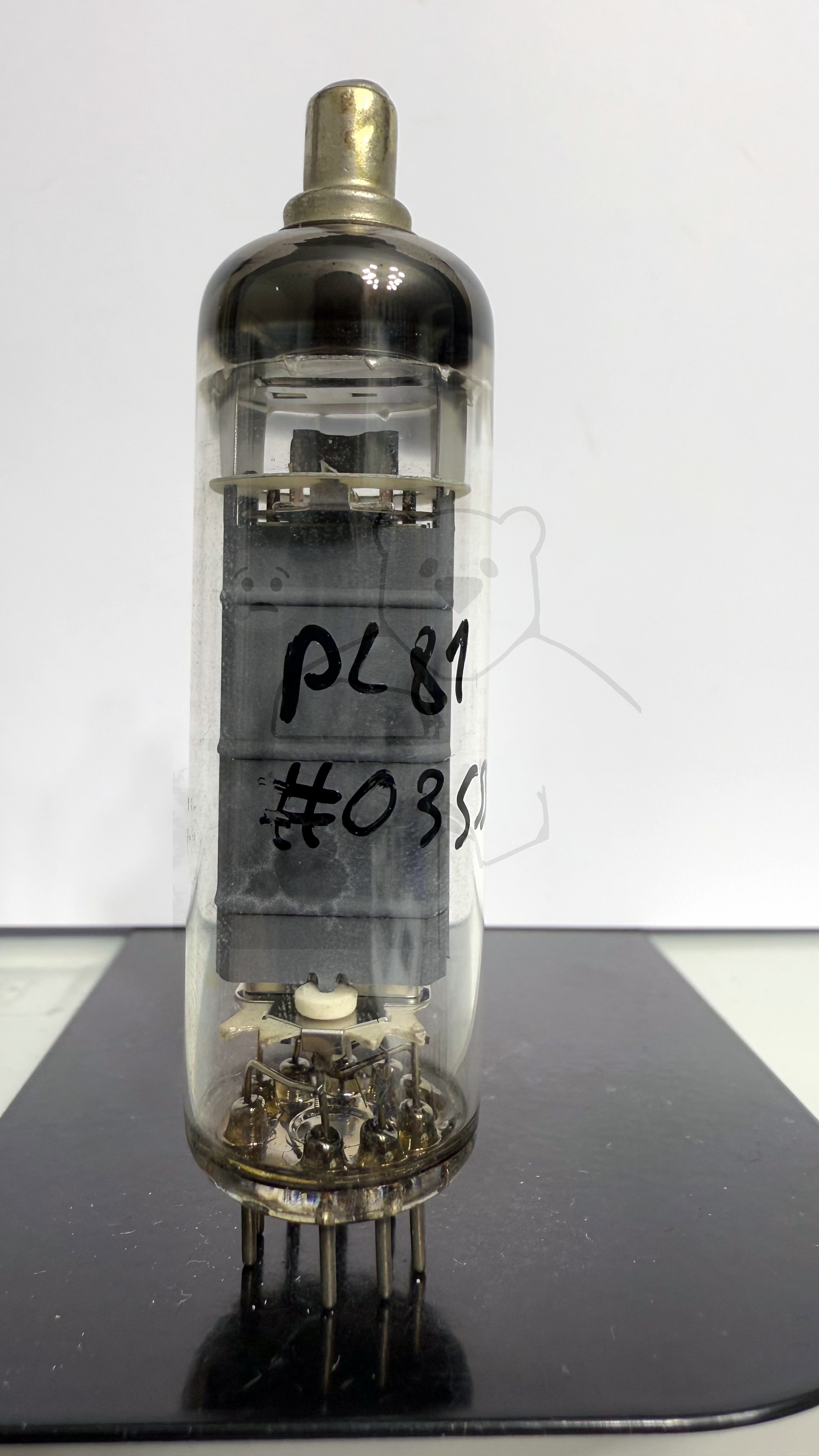 Röhre PL81 #0355 Bild 1