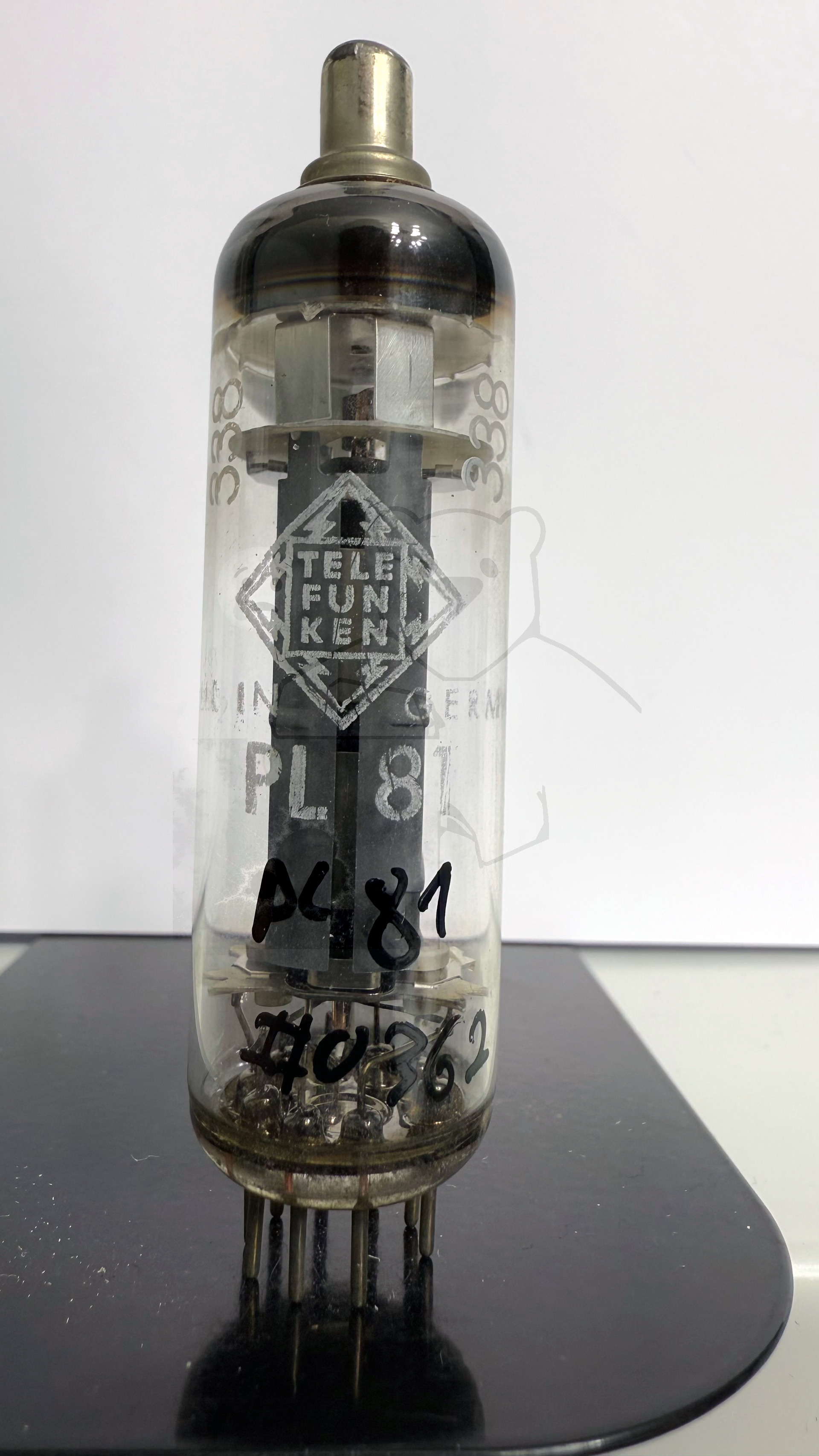 Röhre PL81 #0362 Bild 1