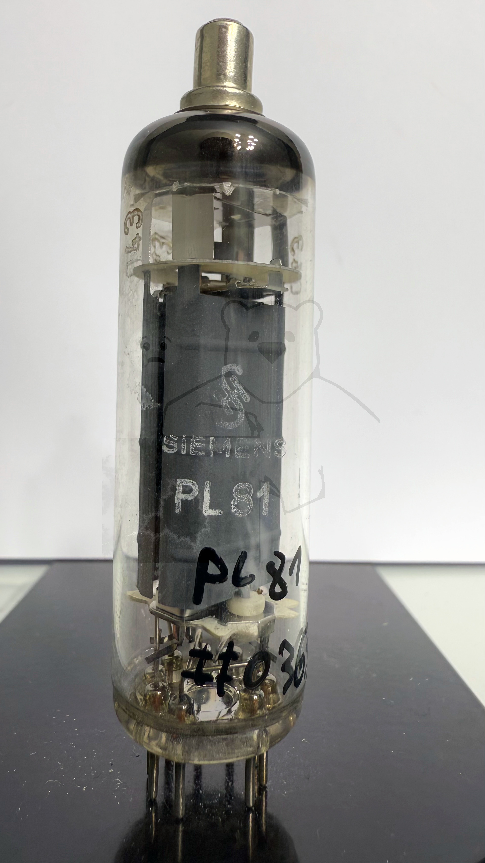 Röhre PL81 #0363 Bild 1