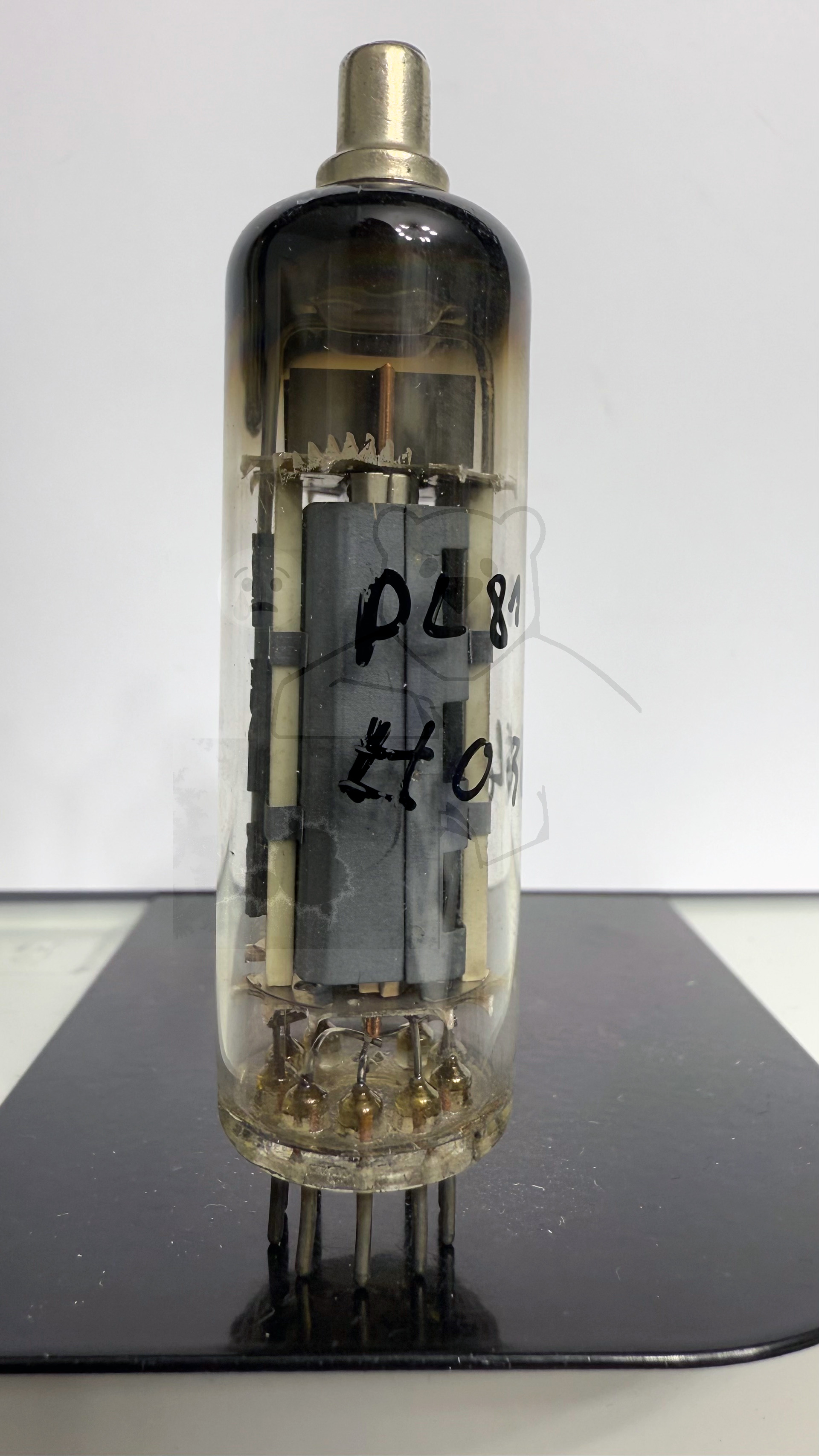 Röhre PL81 #0364 Bild 1