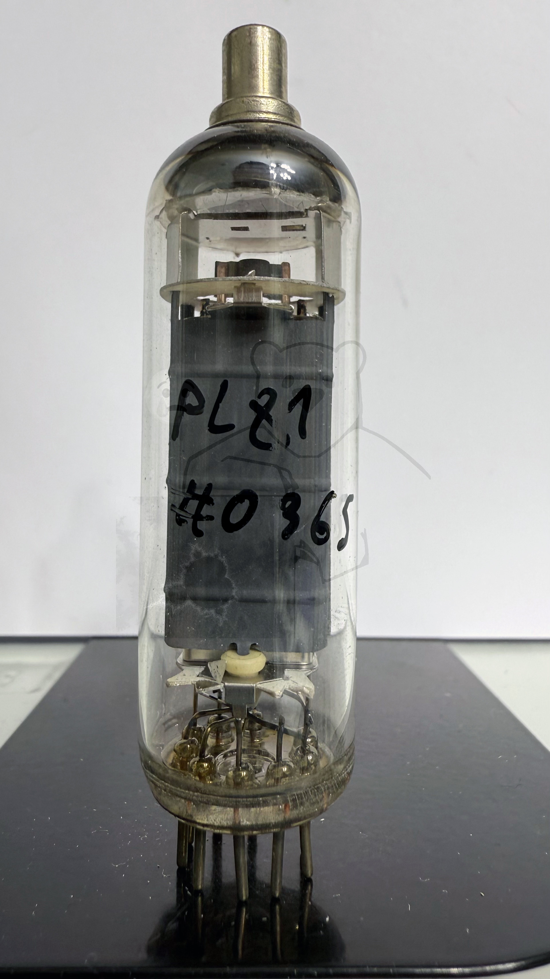 Röhre PL81 #0365 Bild 1