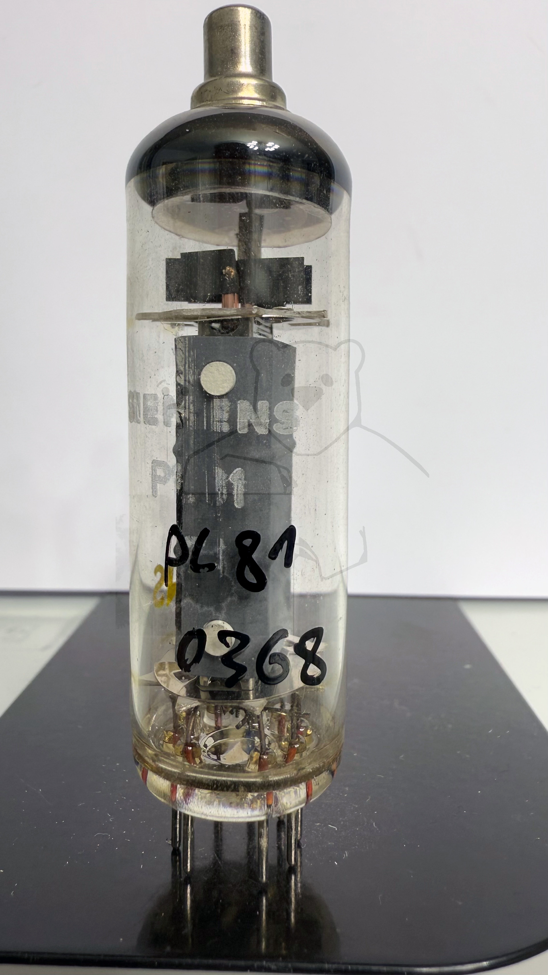 Röhre PL81 #0368 Bild 1