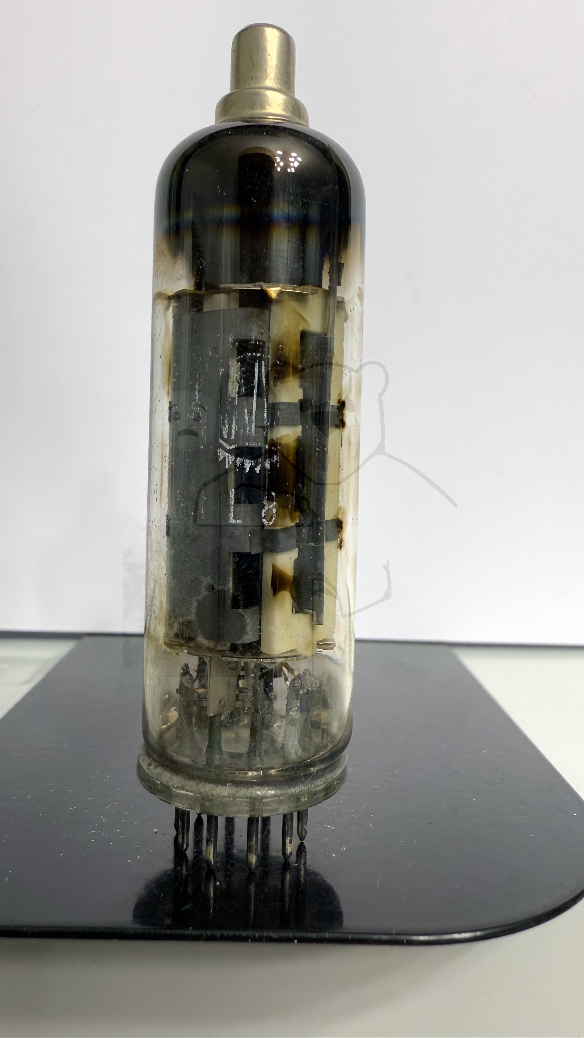 Röhre PL81 #0373 Bild 1