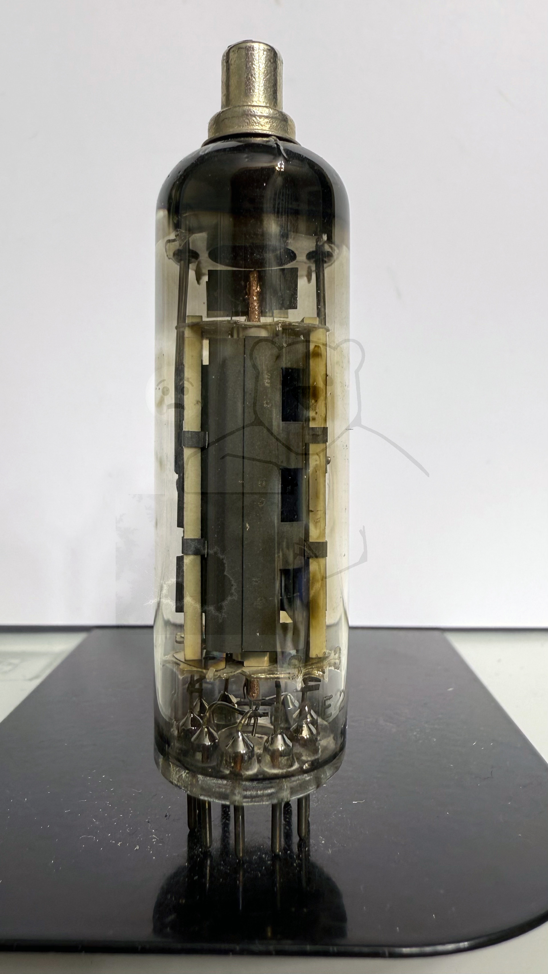 Röhre PL81 #0376 Bild 1