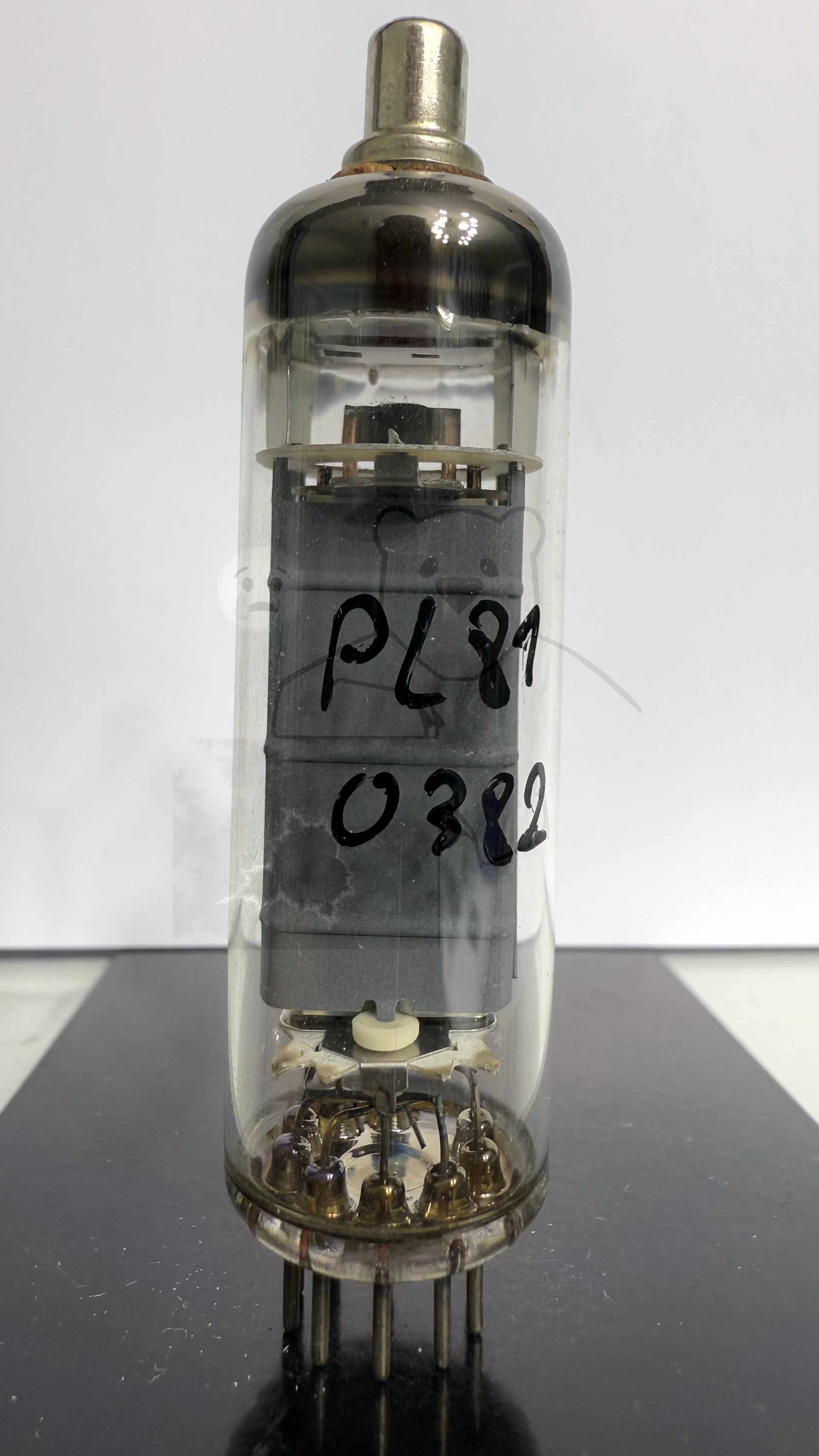 Röhre PL81 #0382 Bild 1
