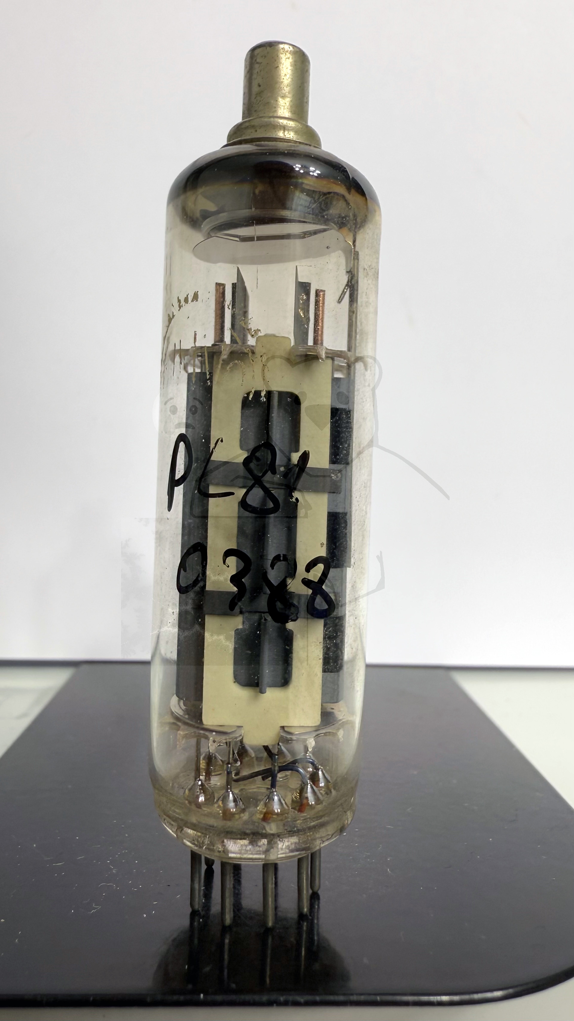 Röhre PL81 #0388 Bild 1