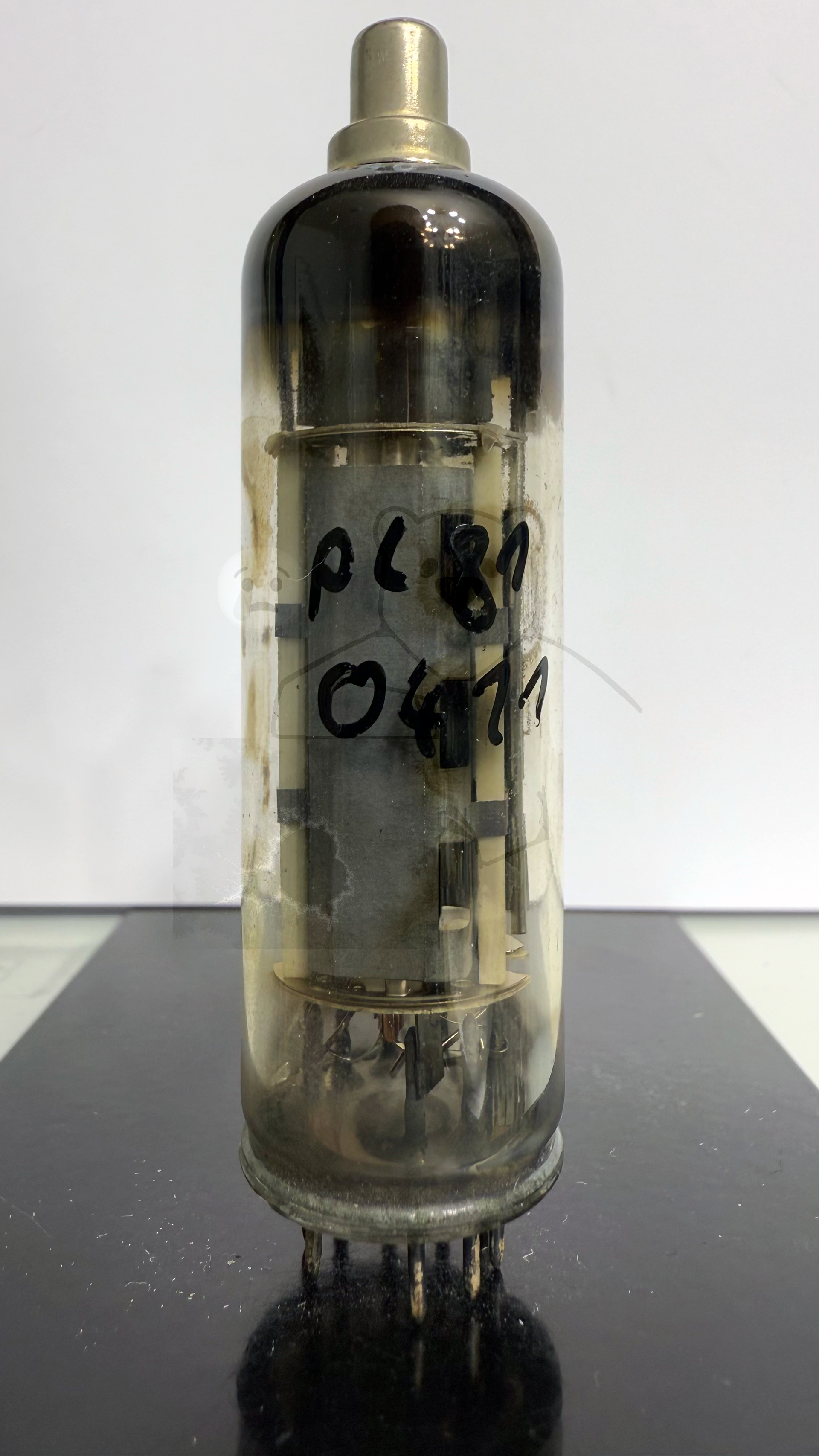 Röhre PL81 #0411 Bild 1