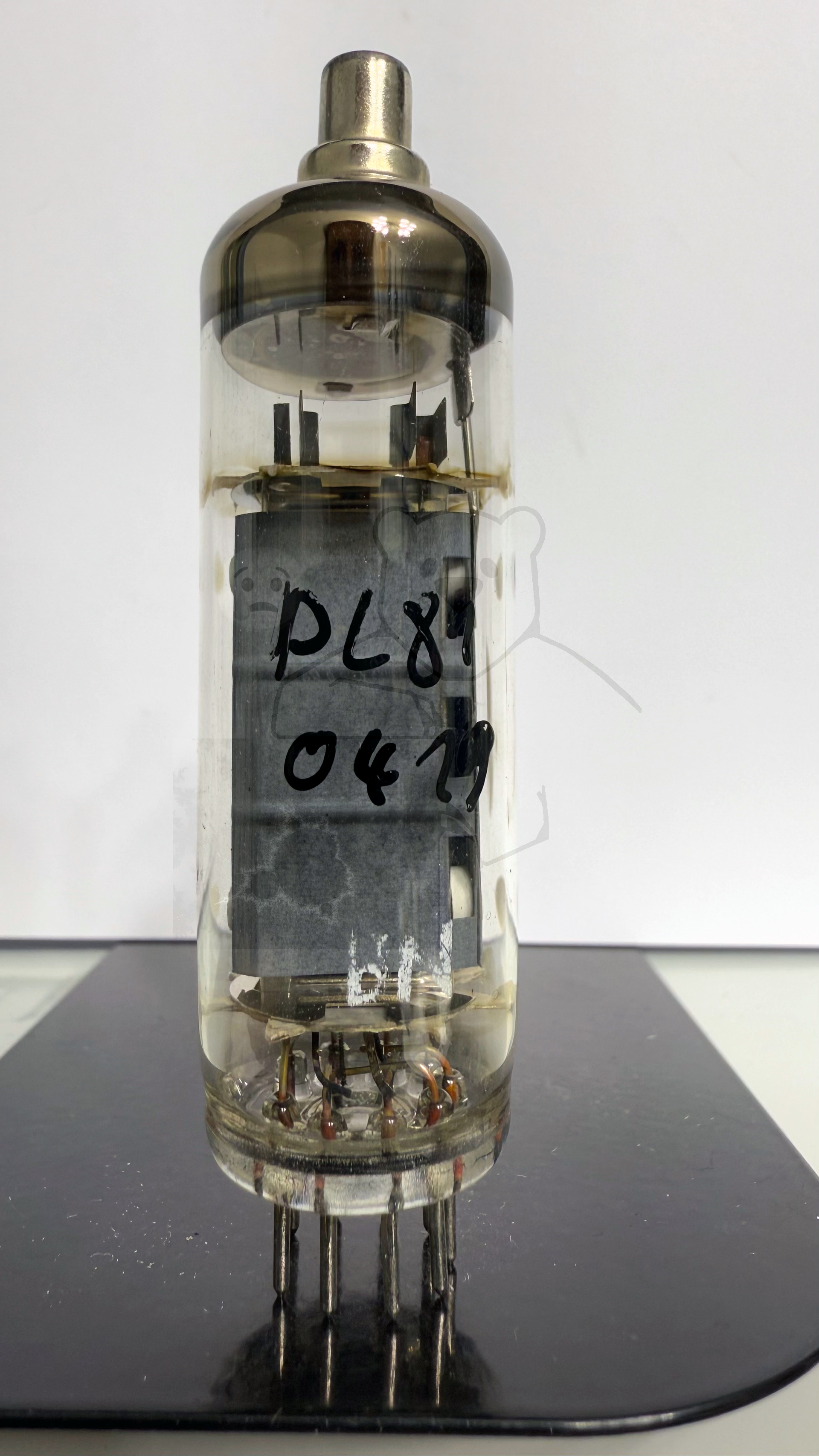 Röhre PL81 #0419 Bild 1