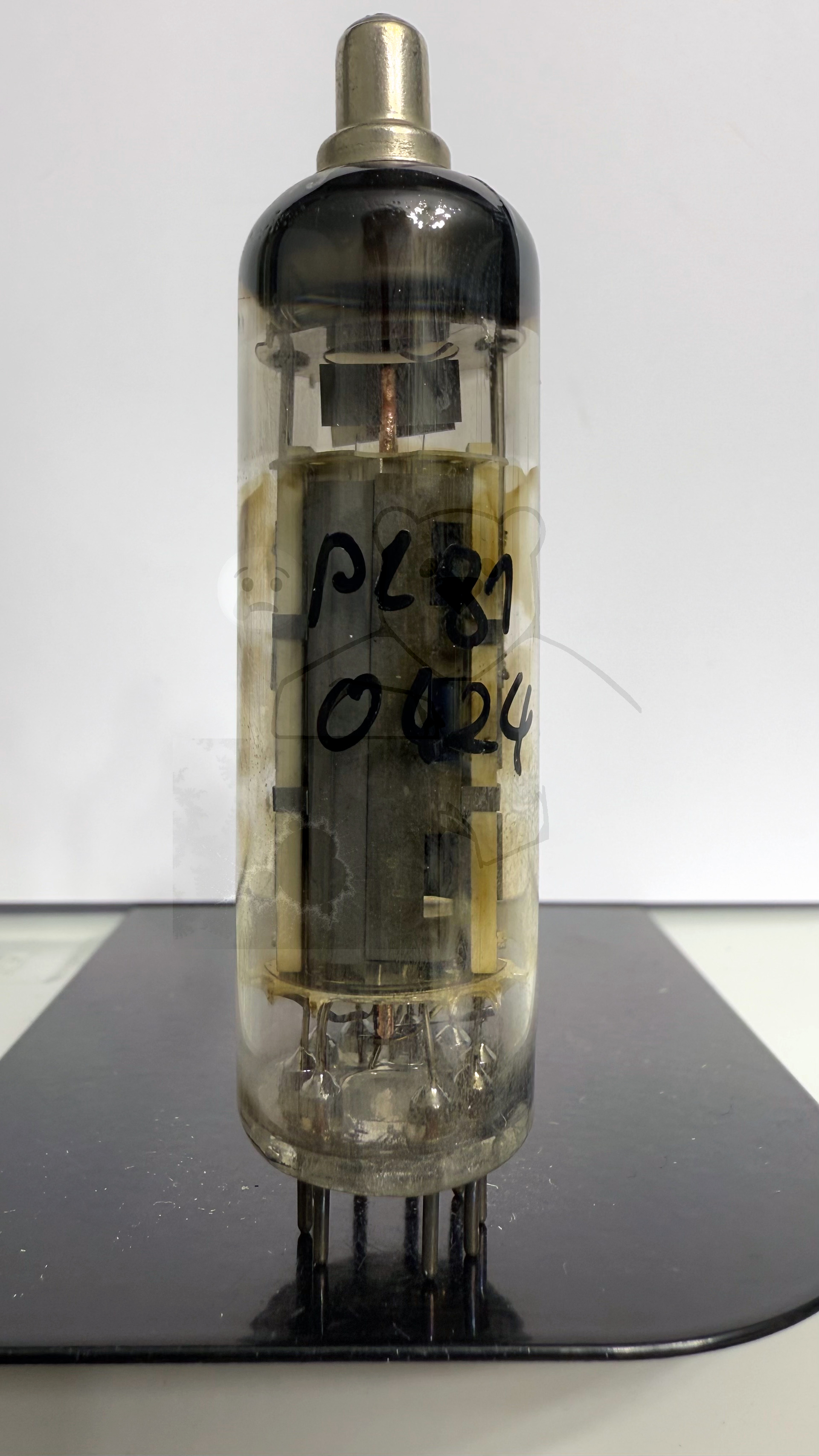 Röhre PL81 #0424 Bild 1