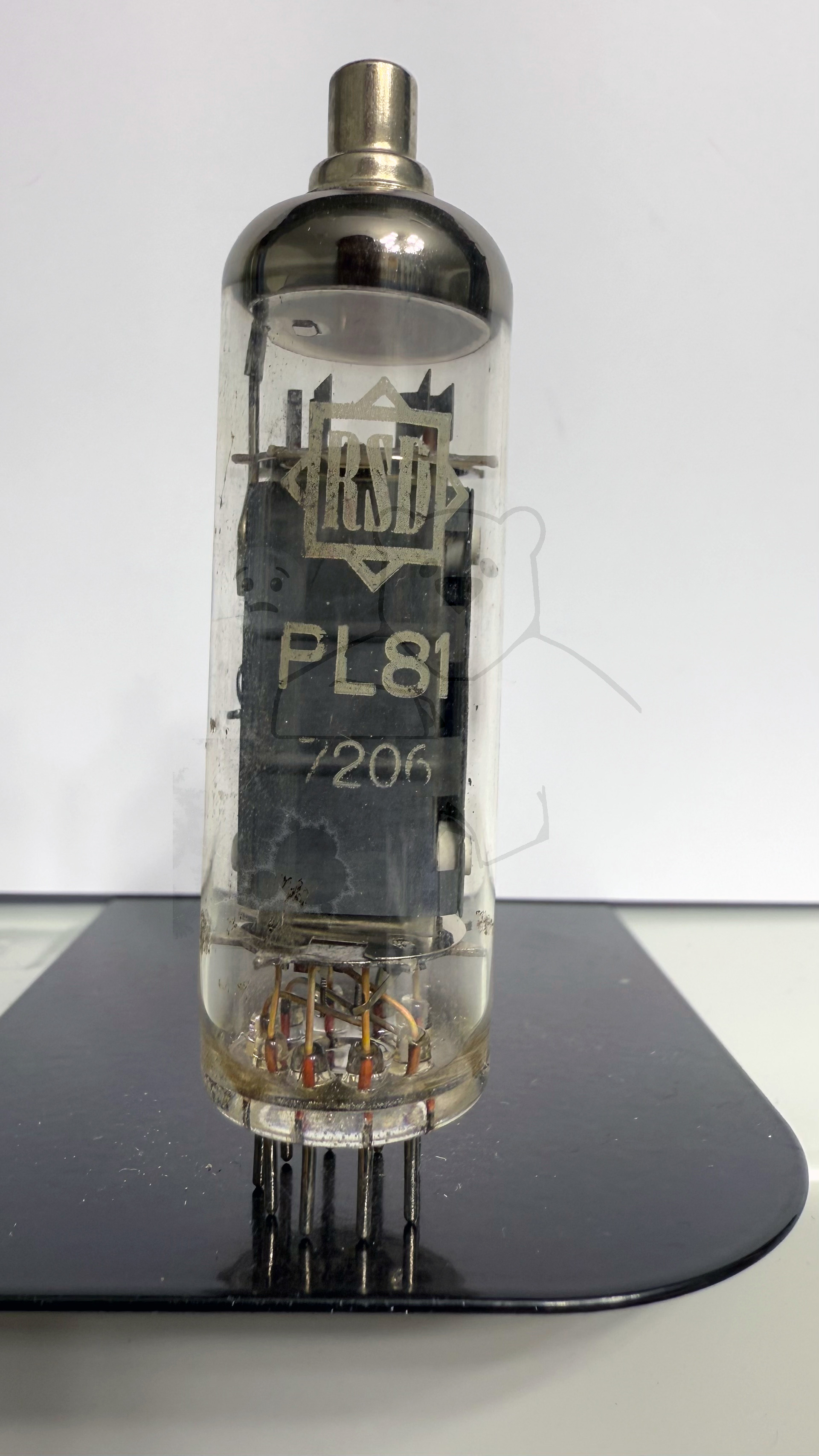 Röhre PL81 #0432 Bild 1