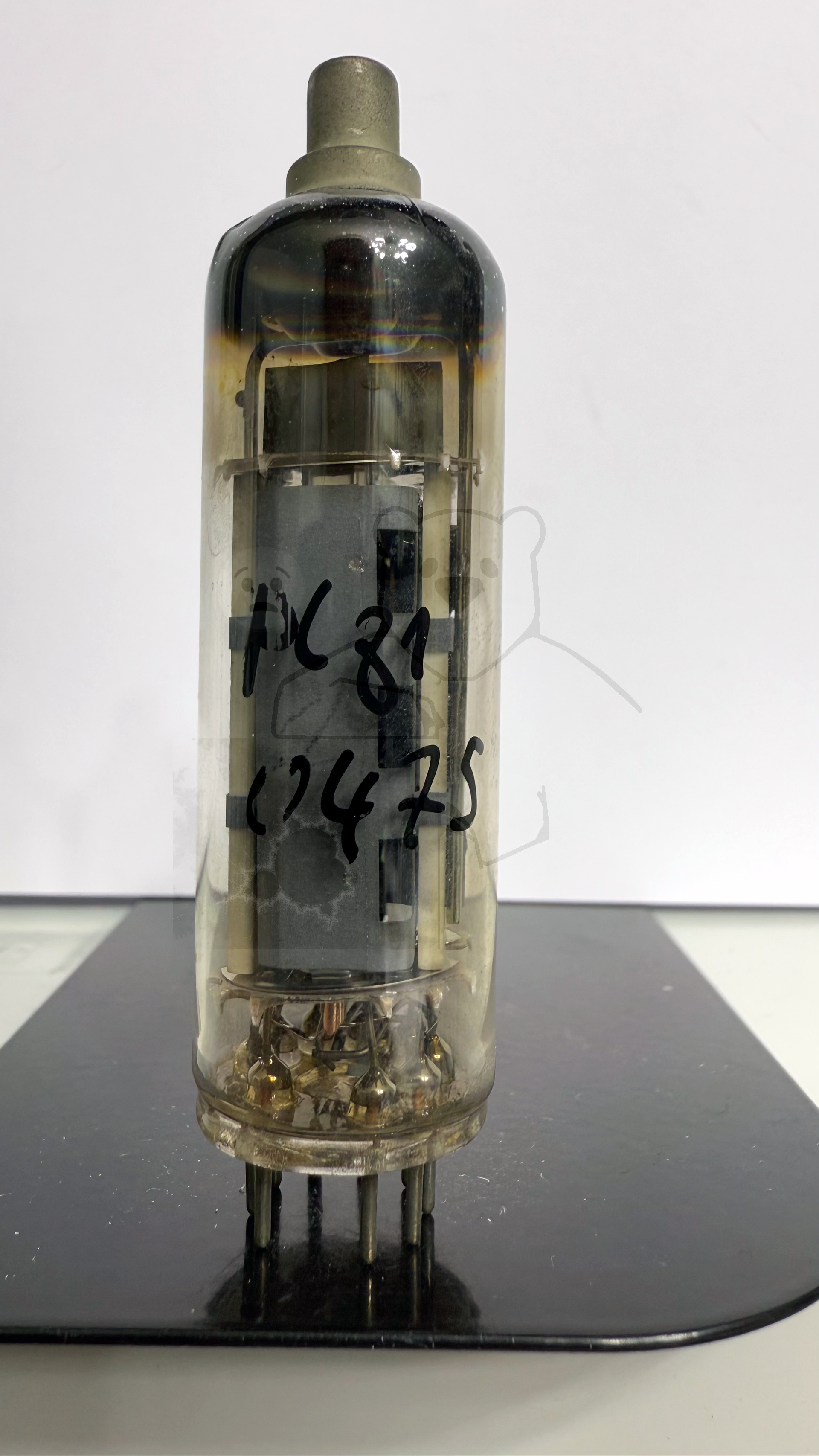 Röhre PL81 #0475 Bild 1