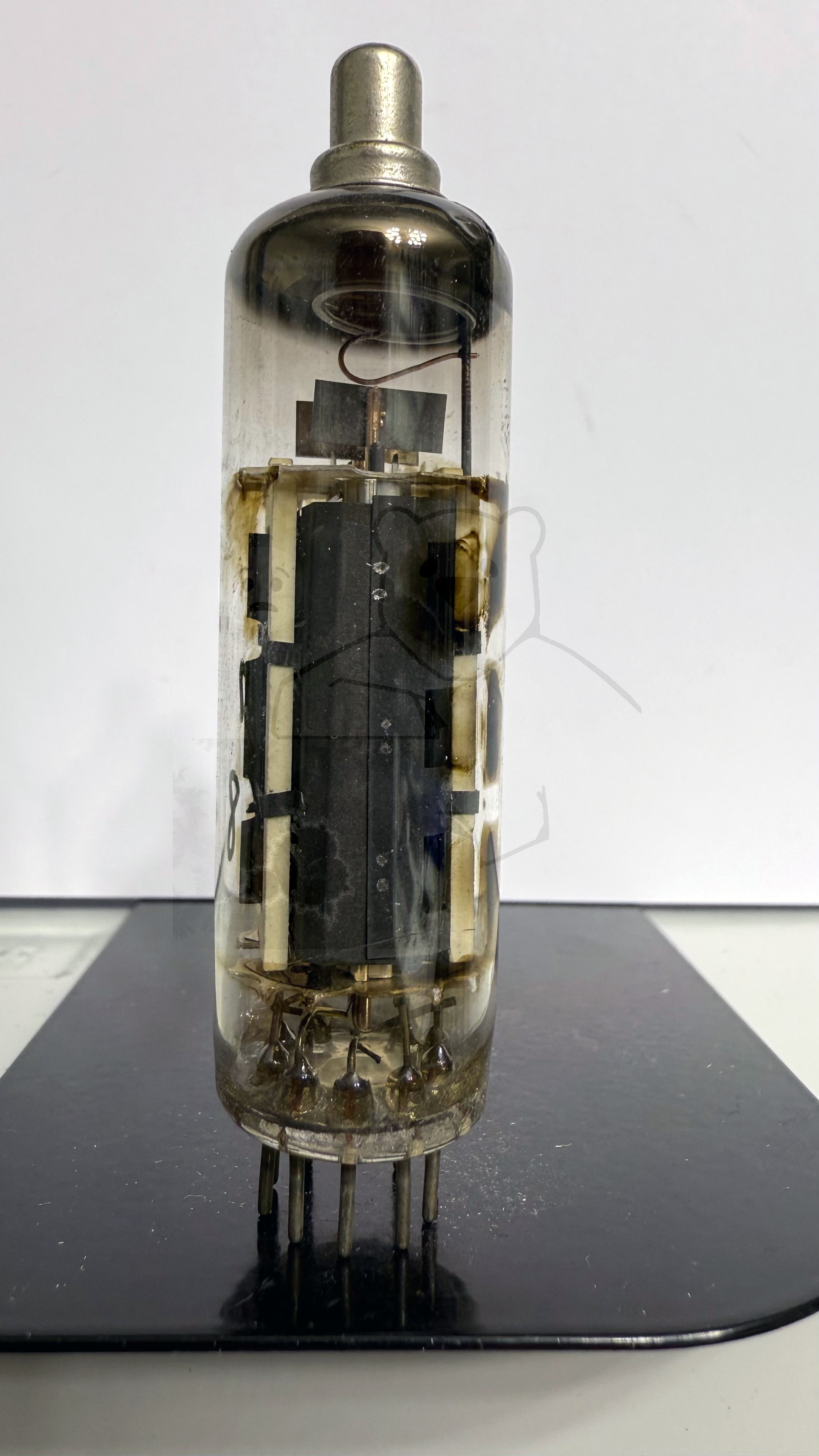 Röhre PL81 #0478 Bild 1