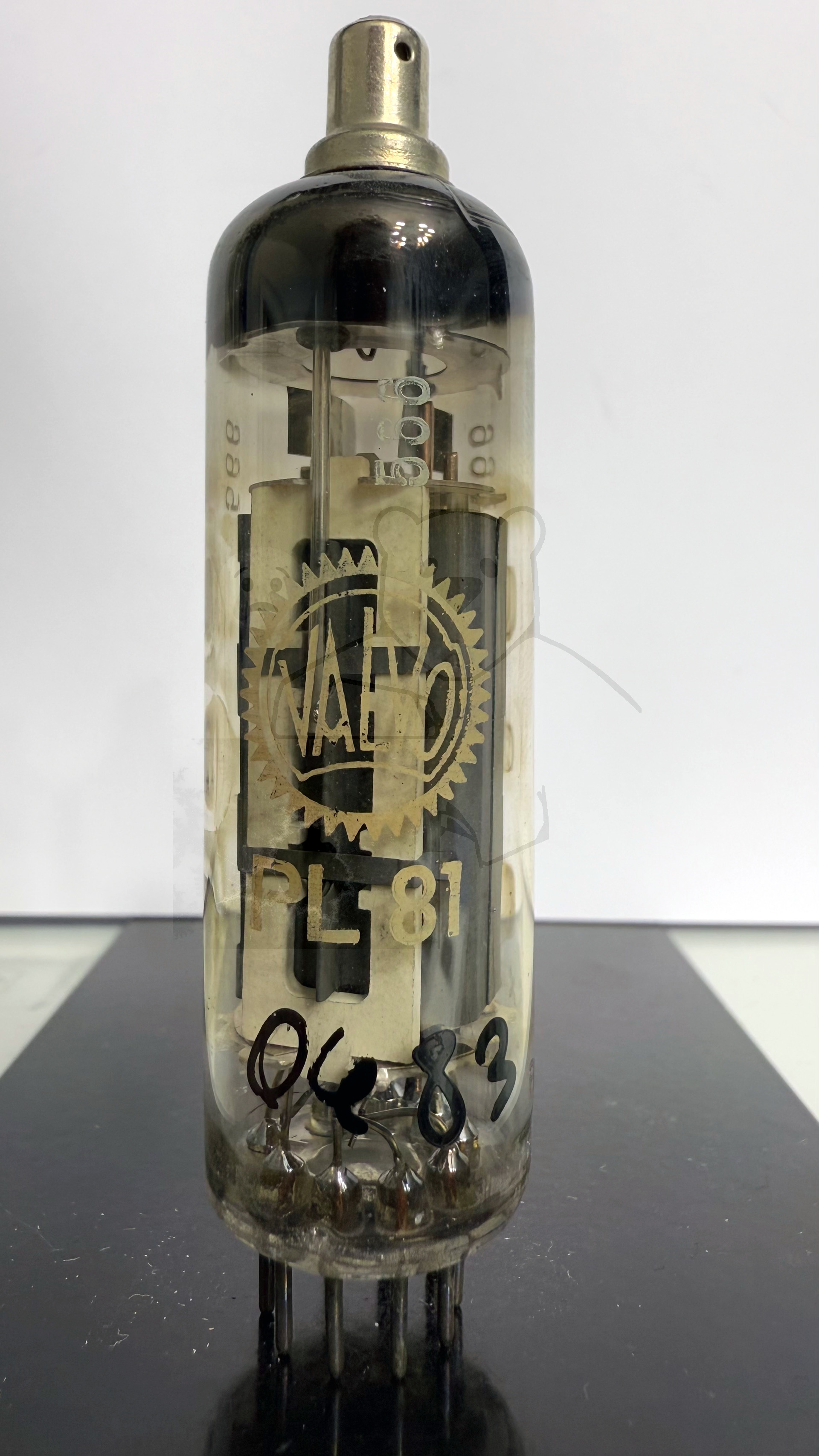 Röhre PL81 #4883 Bild 1