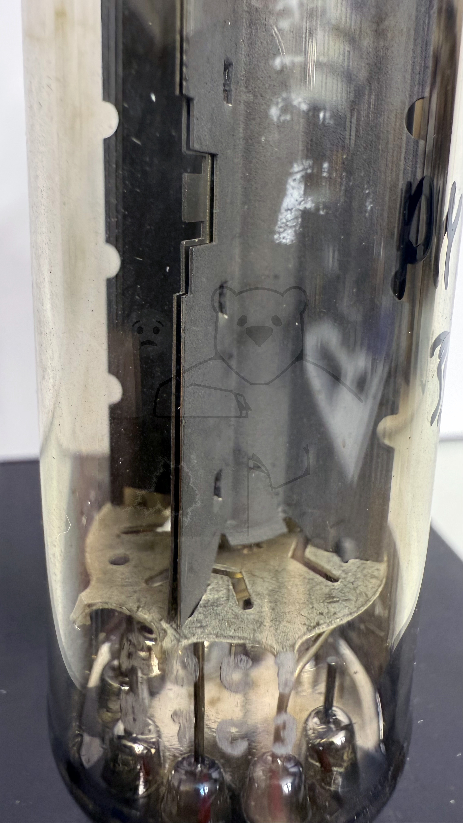 Röhre PY500A #3053 Bild 4