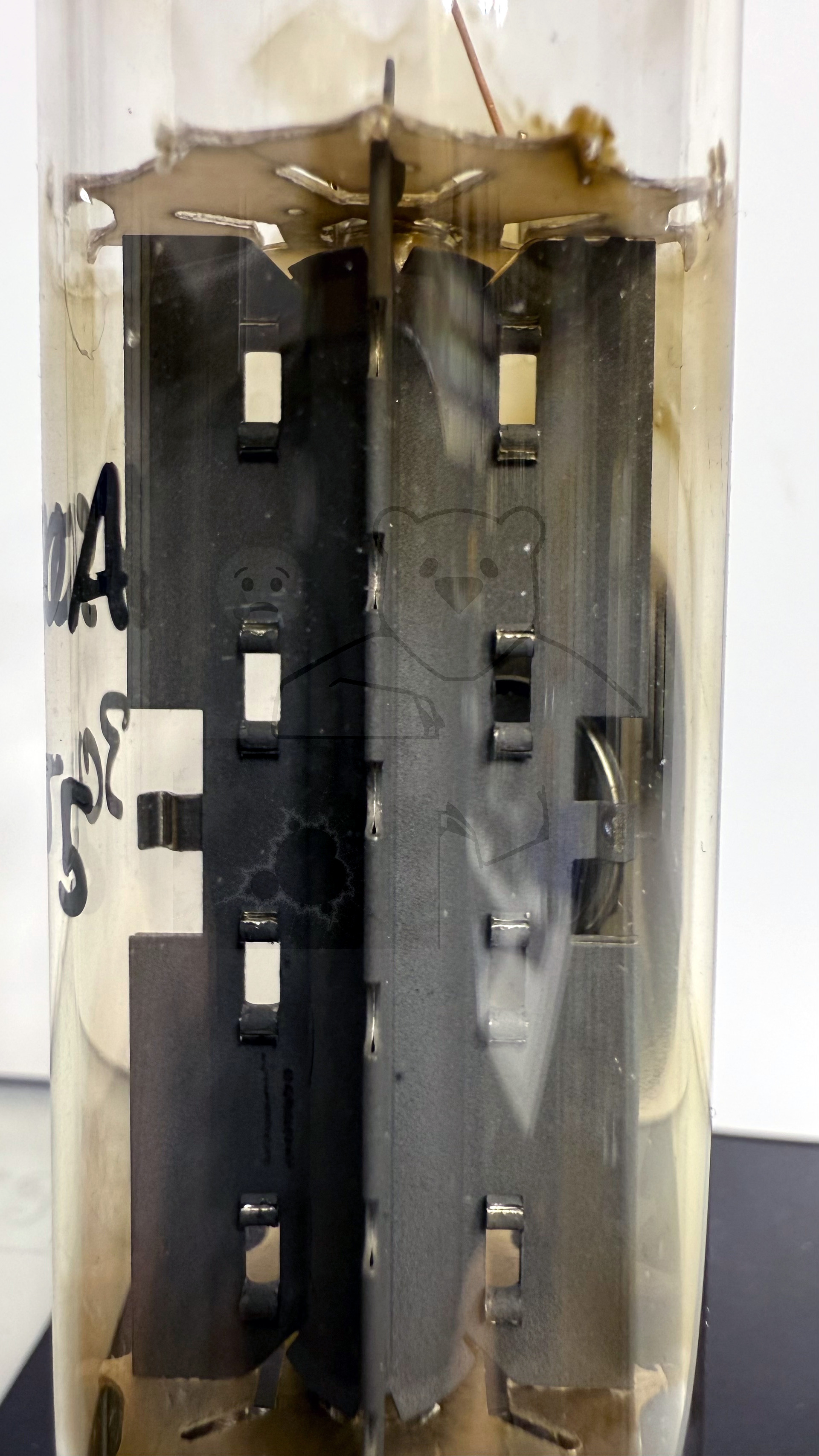 Röhre PY500A #3055 Bild 3