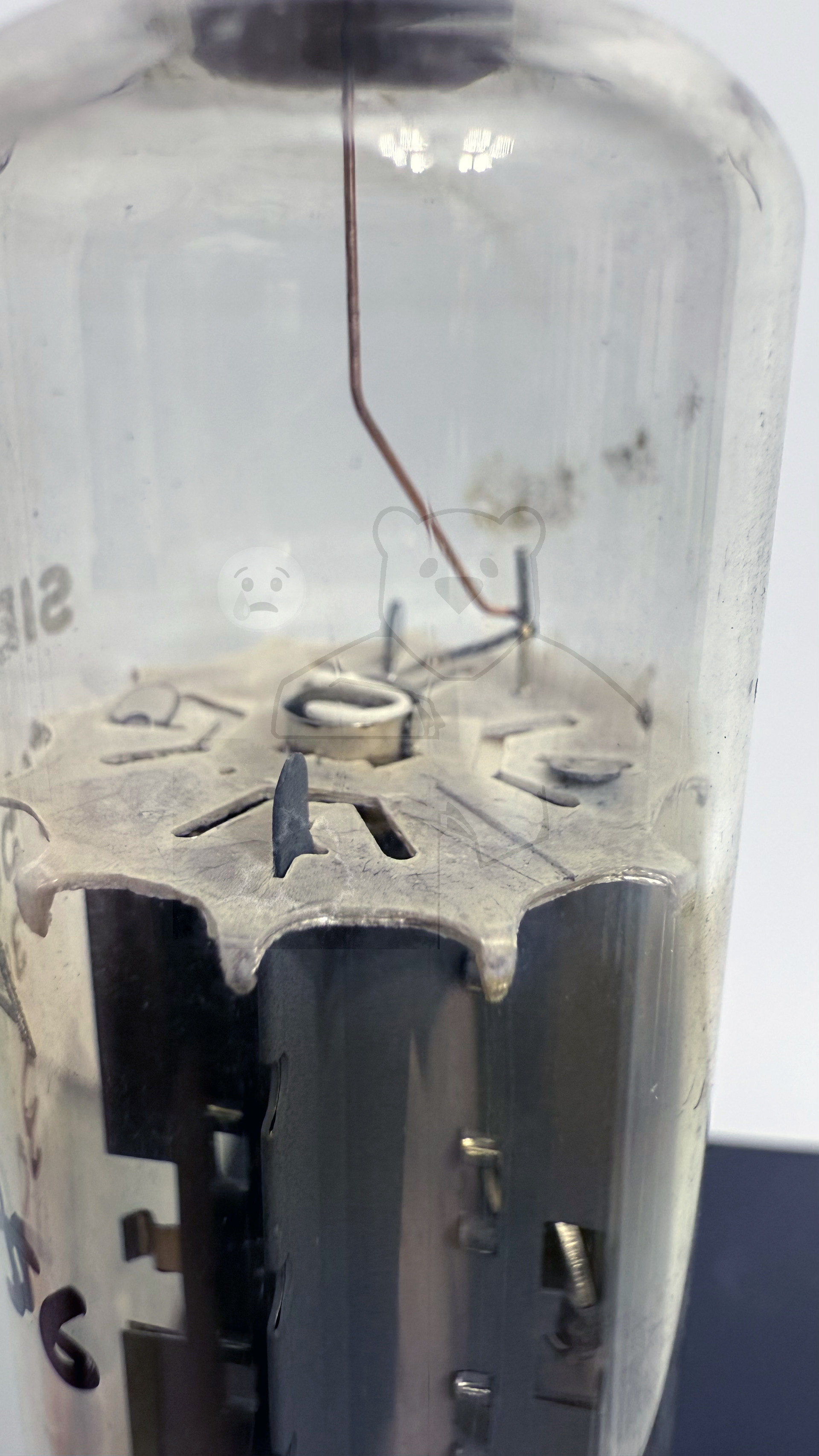 Röhre PY500A #3056 Bild 8