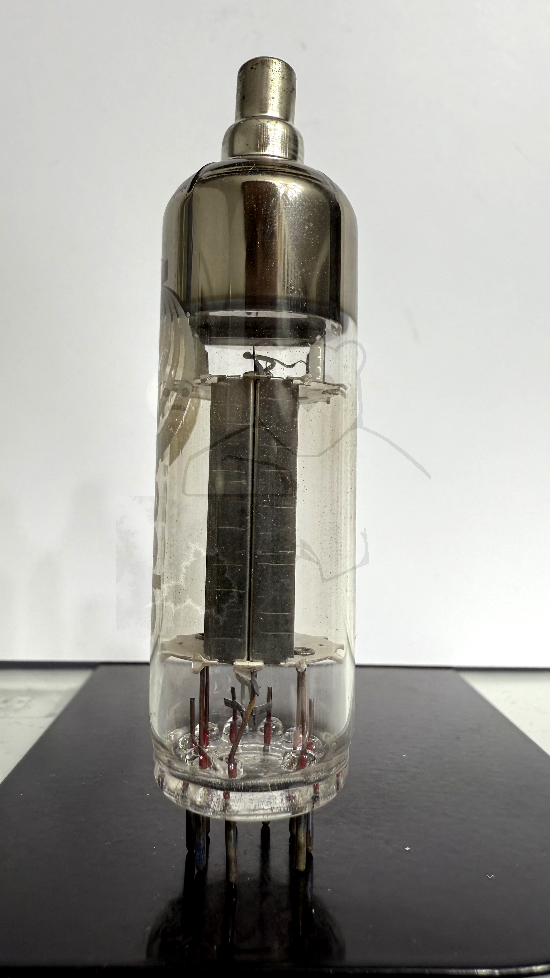 Röhre PY800 #7584 Bild 2