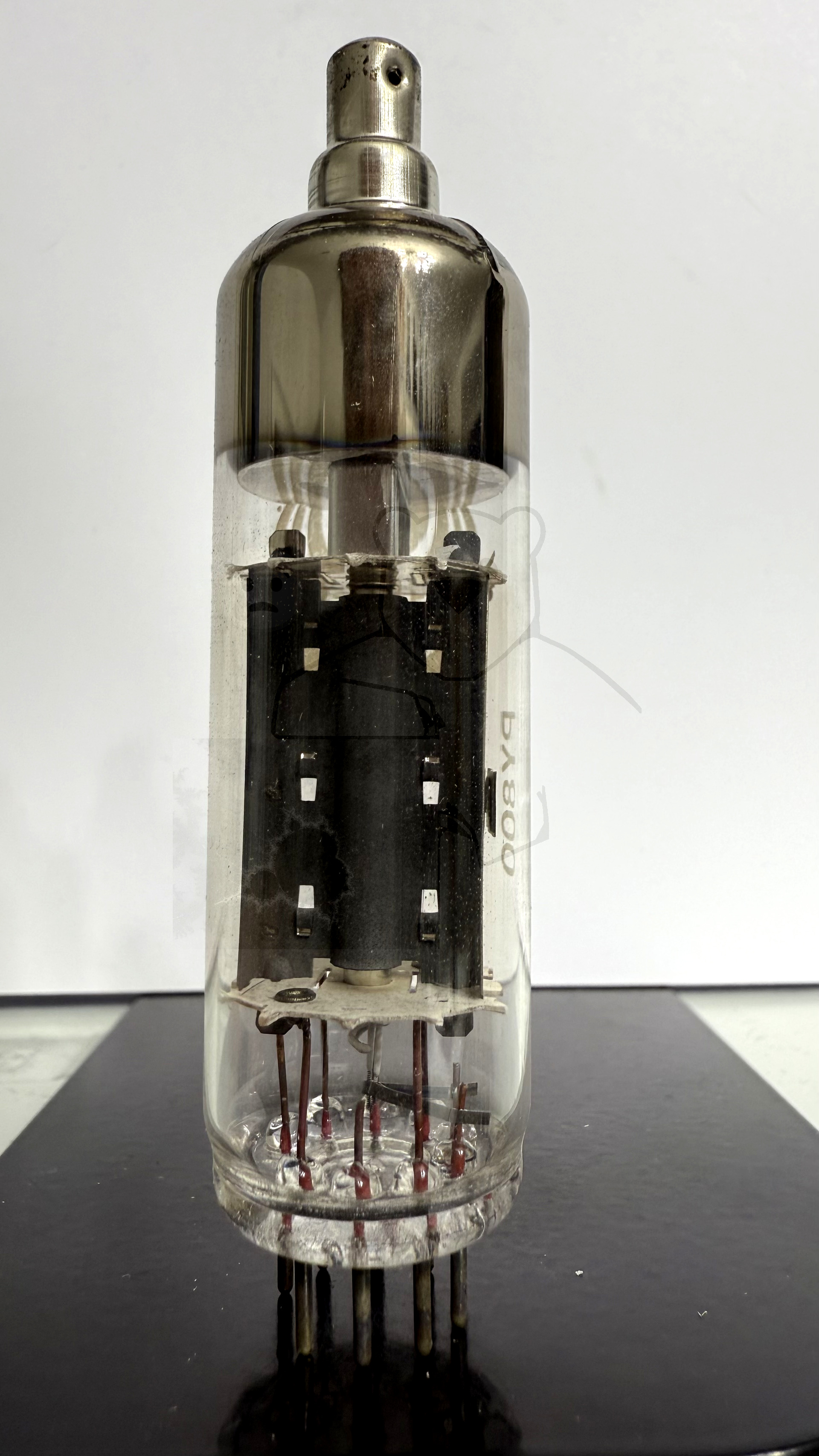 Röhre PY800 #7584 Bild 3