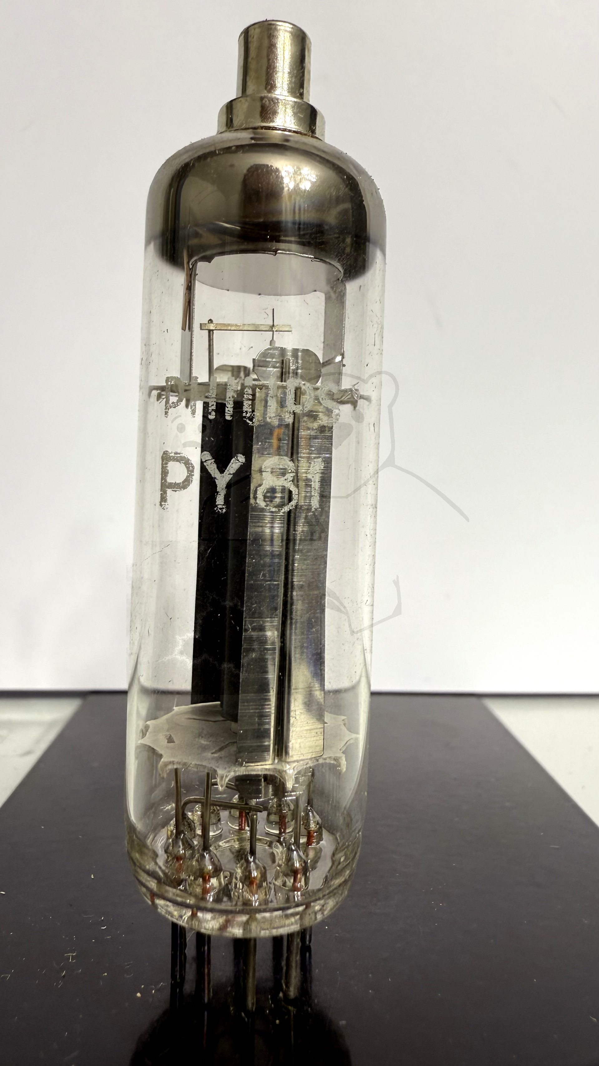Röhre PY81 #4221 Bild 1