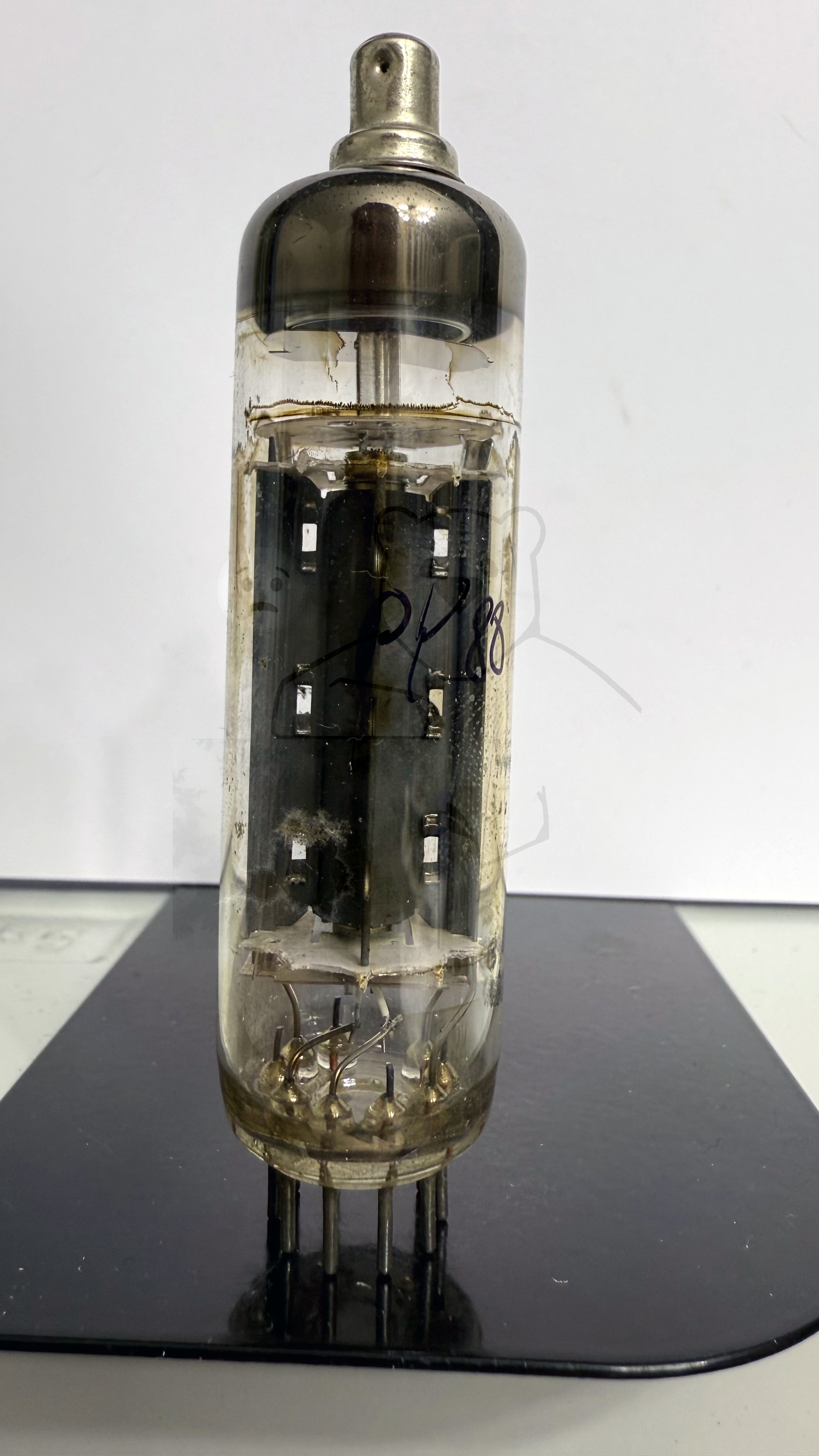 Röhre PY88 #0447 Bild 1