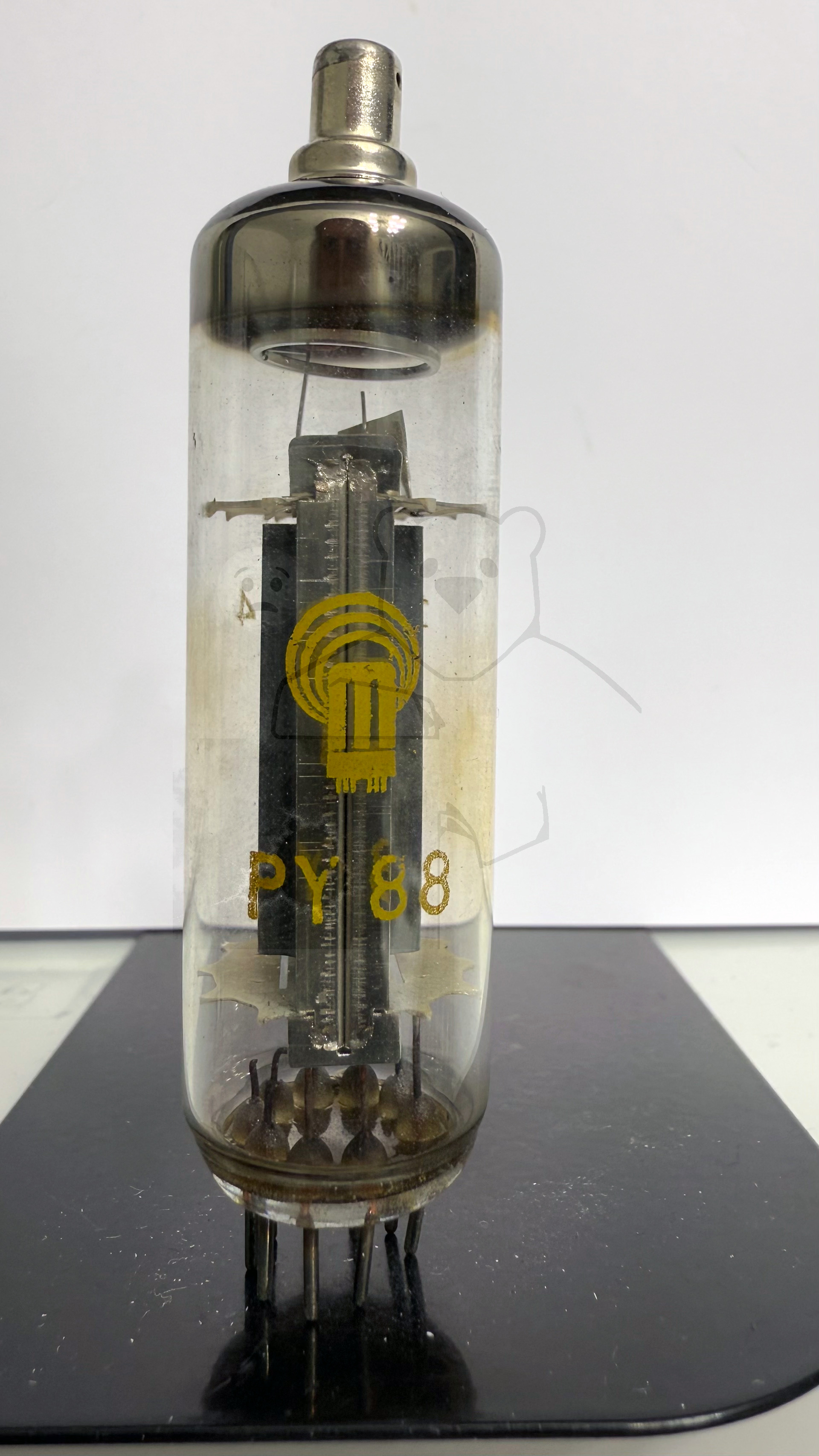Röhre PY88 #4878 Bild 1