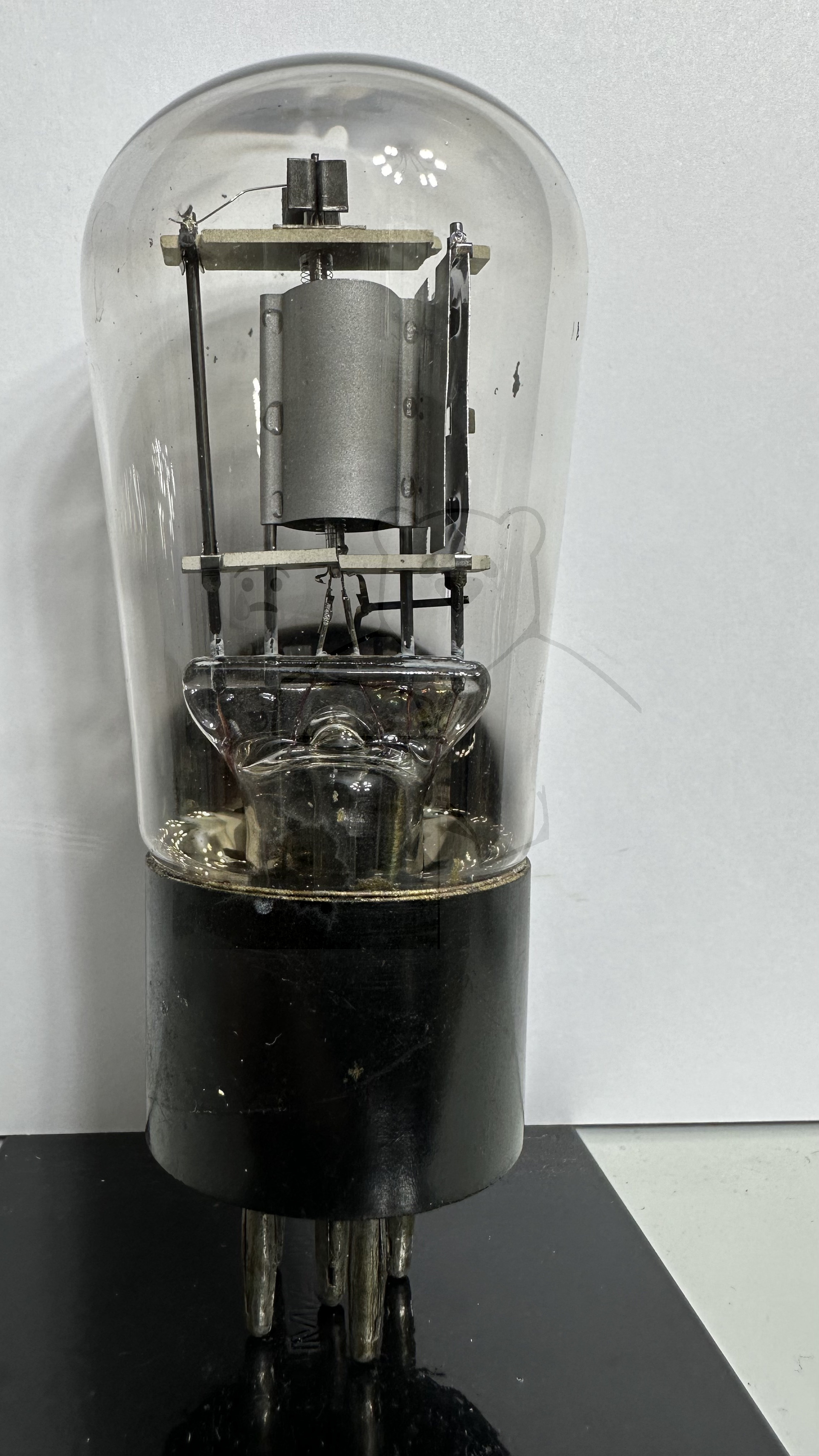 Röhre REN904 Spez F #3779 Bild 1