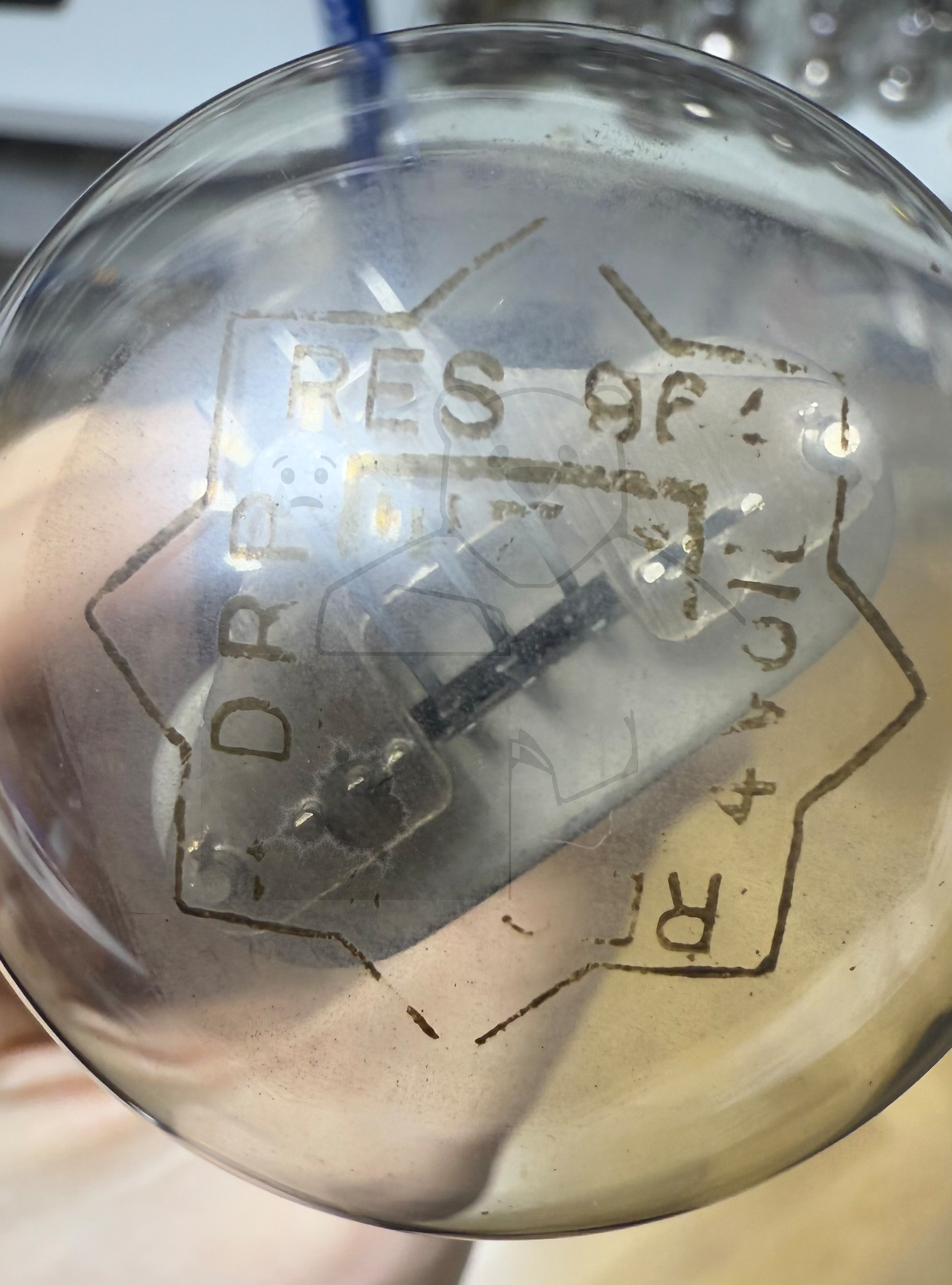 Röhre RES964 #4603 Bild 22