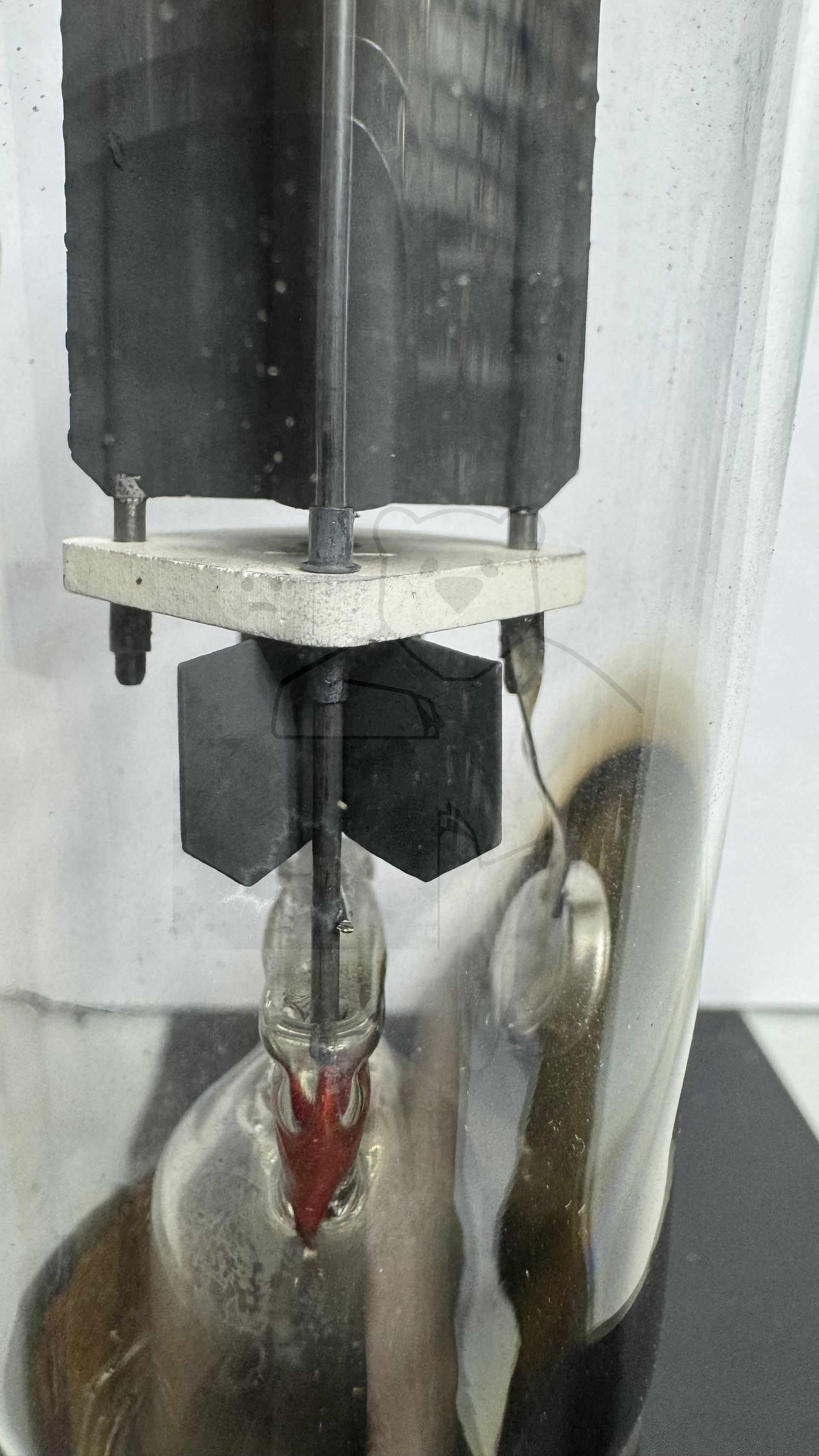 Röhre S321 #3286 Bild 6