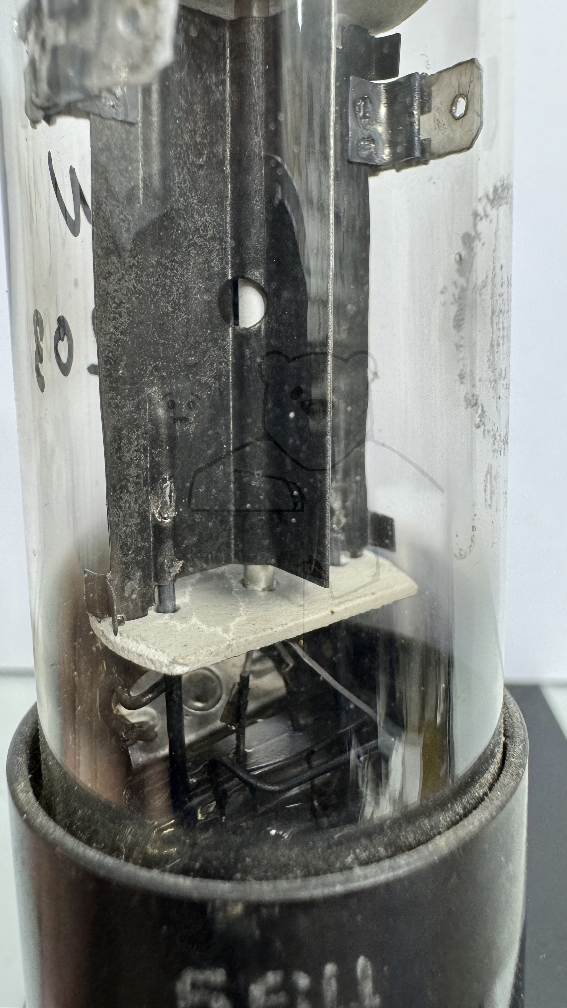 Röhre UY1N #0203 Bild 5