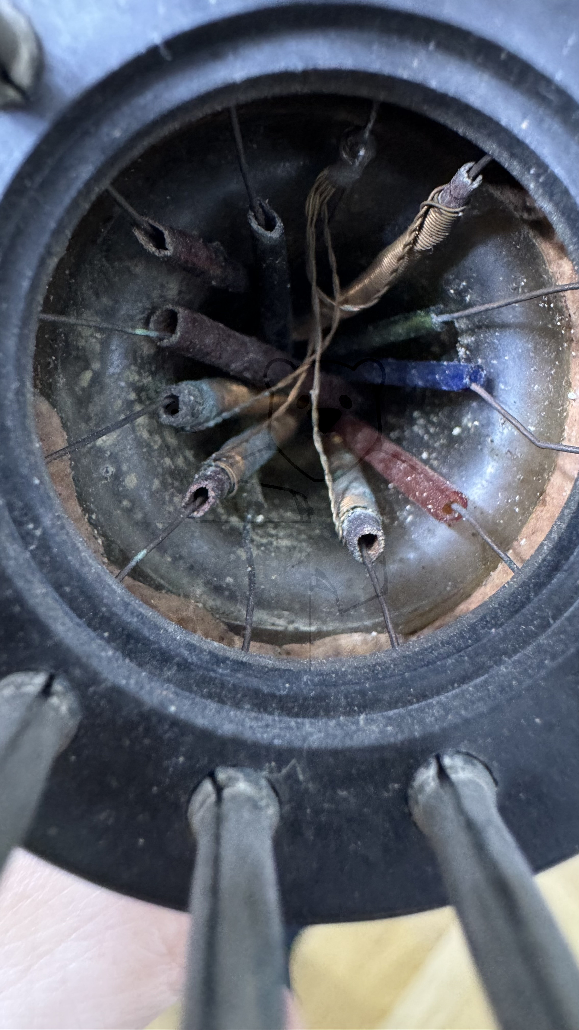 Röhre WG36 #0131 Bild 7