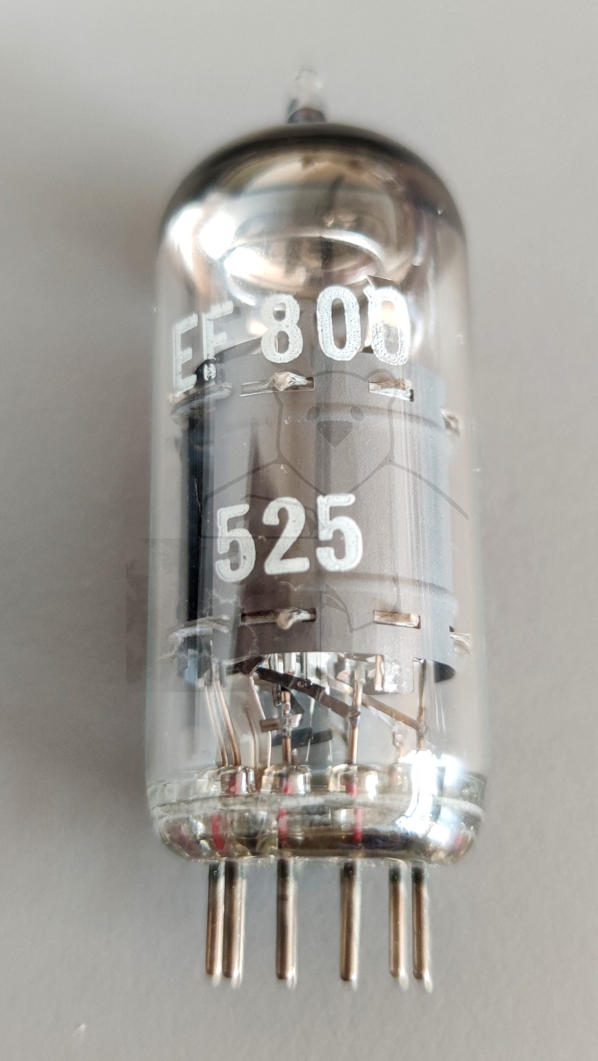 Röhre EF800 Bild von Gerieth Schlosser 2