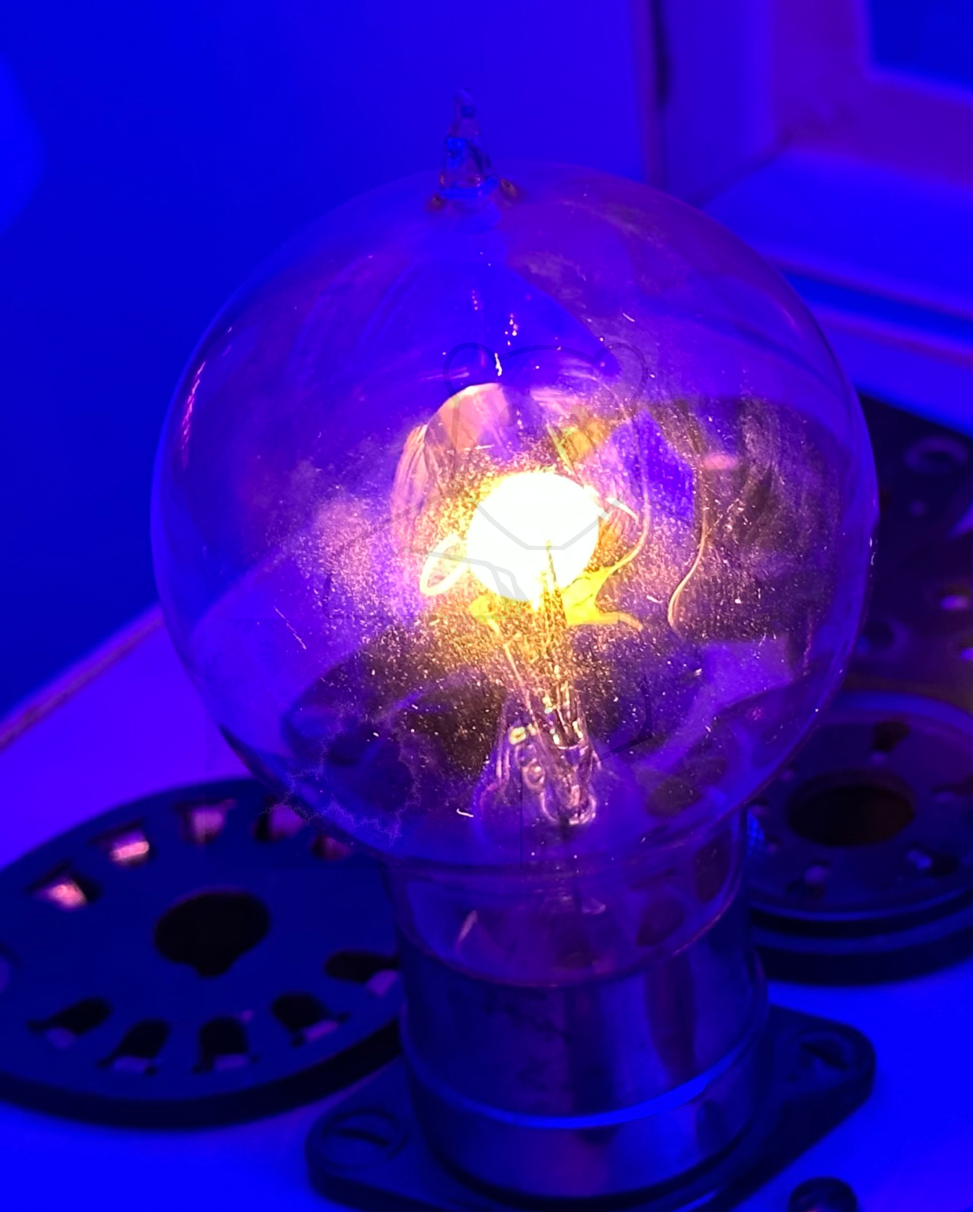 Röhre Philips D vi #7779 In Betrieb Bild 2