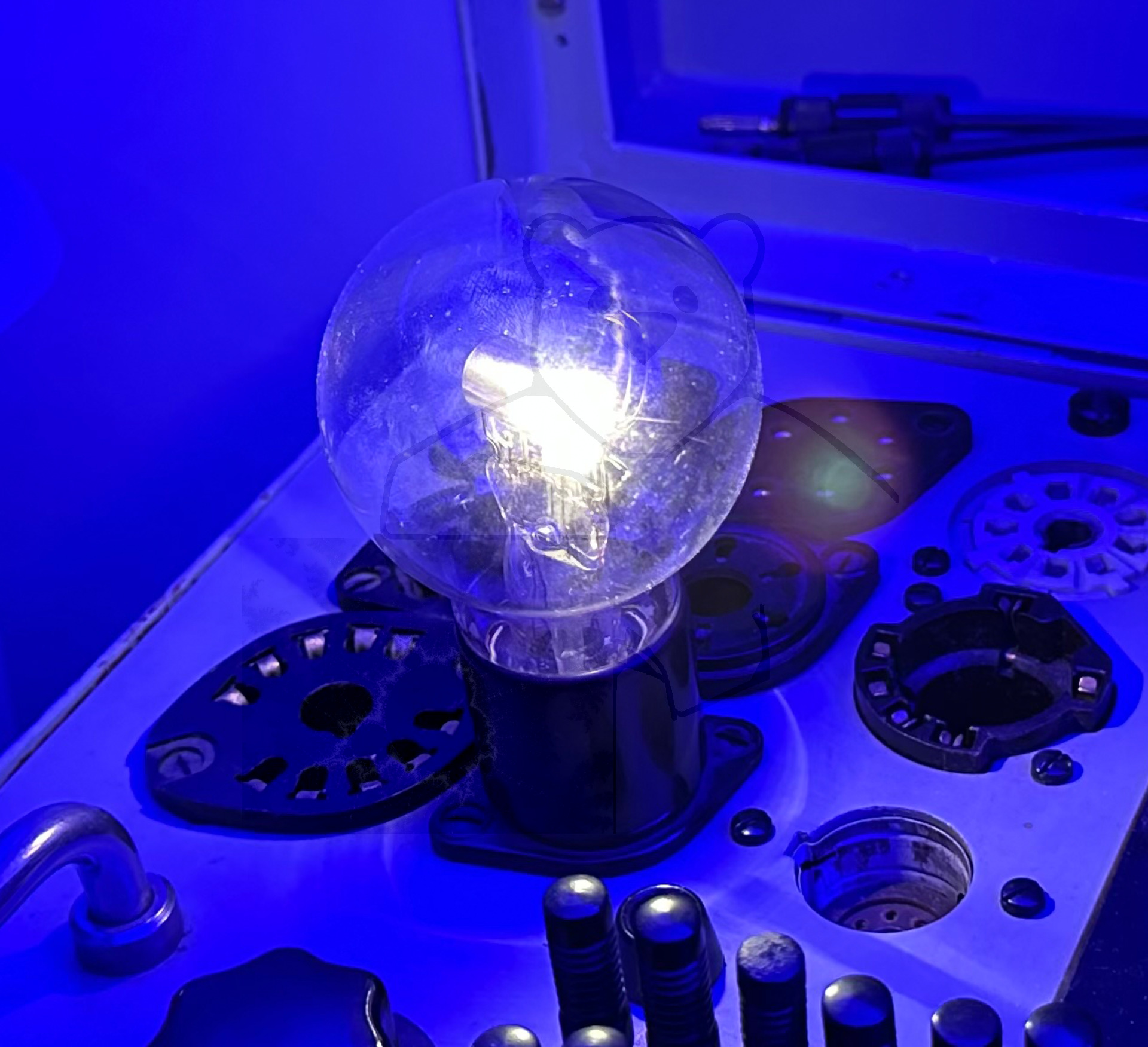 Röhre Philips E #6462 In Betrieb Bild 2